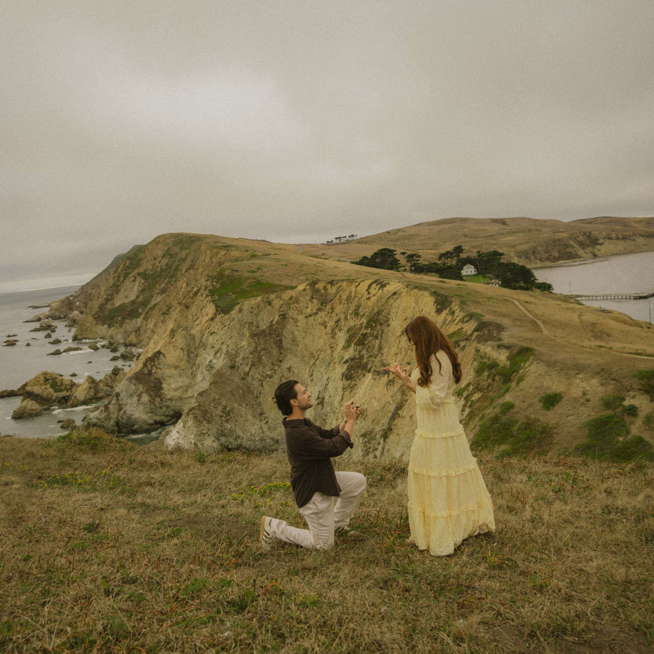 Proposal | Point Reyes