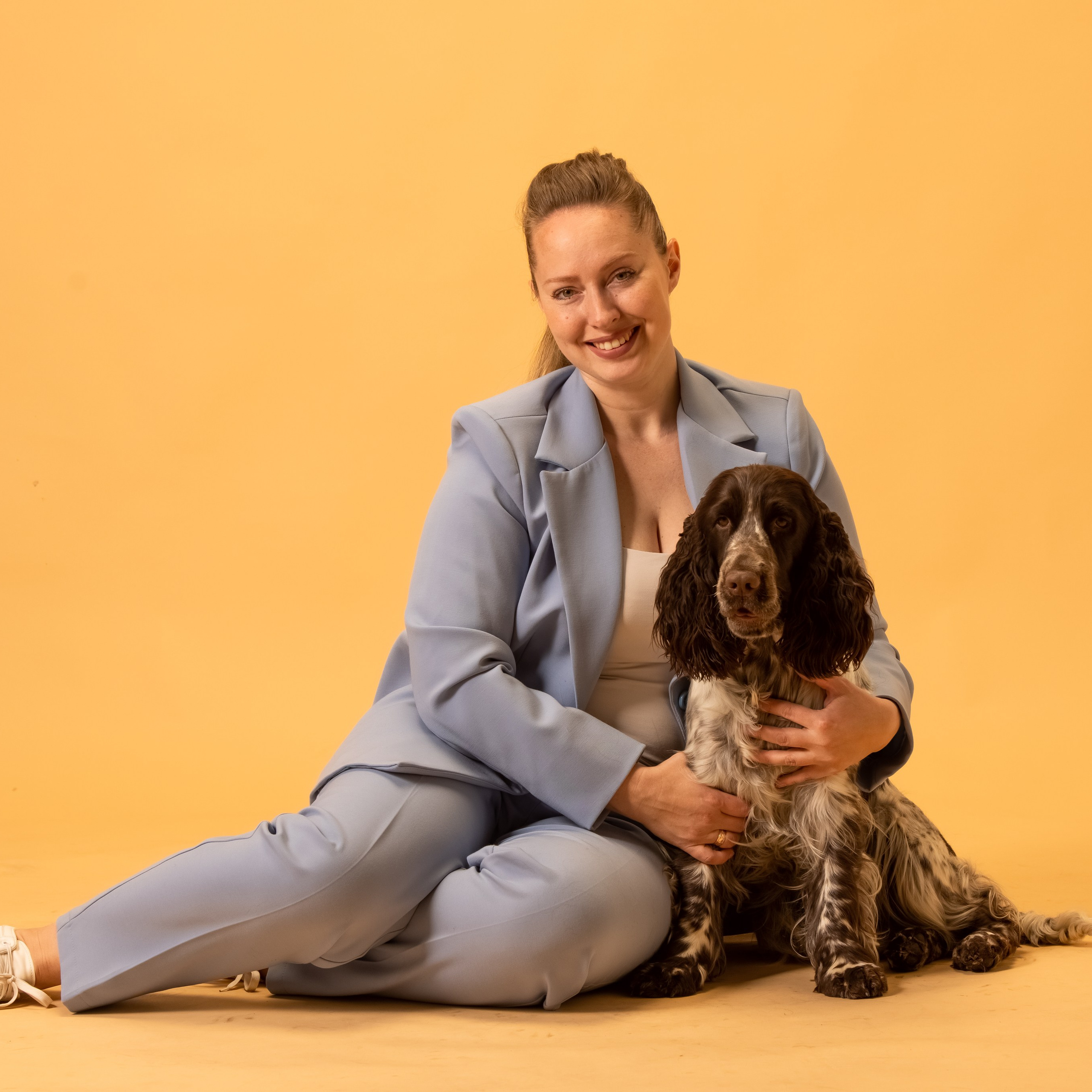 Our Female | International English Springer Spaniel Show Kennel. Website of the titled stud dog of the Springer Spaniel breed