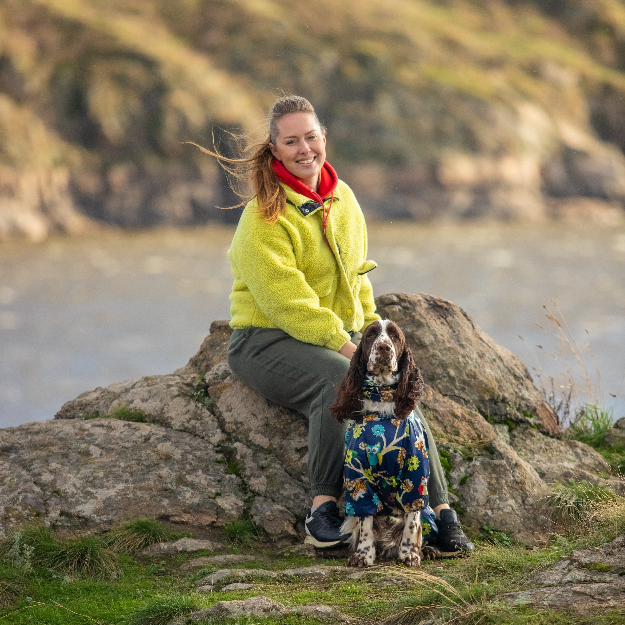 Gallery. Website of the titled stud dog of the Springer Spaniel breed