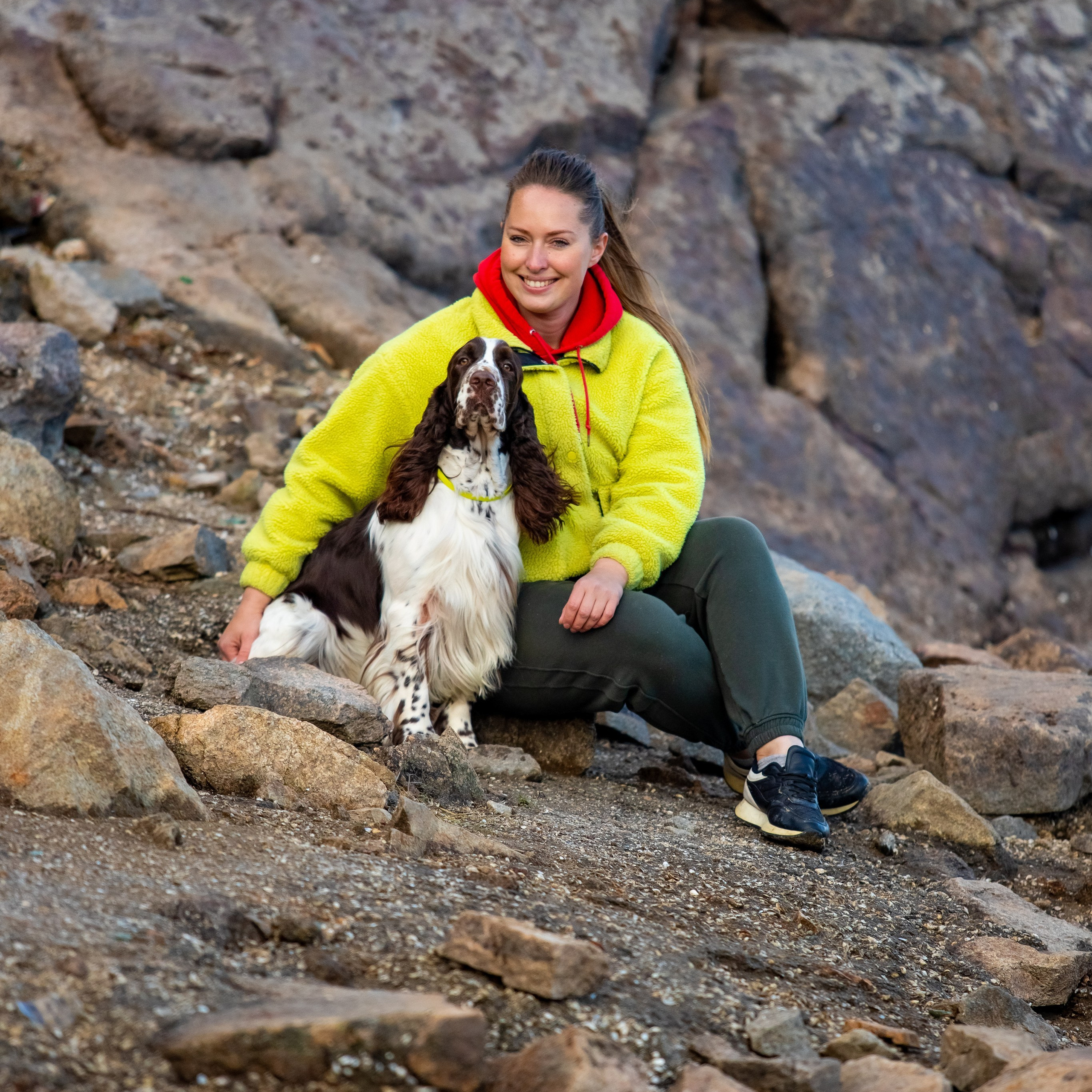 Gallery. Website of the titled stud dog of the Springer Spaniel breed
