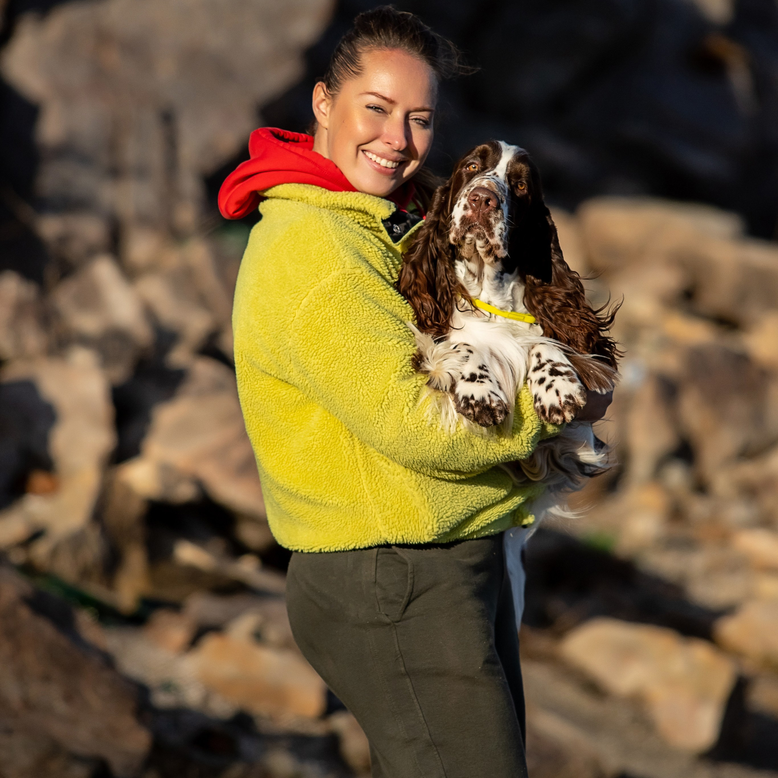 Our Male | International English Springer Spaniel Show Kennel. Website of the titled stud dog of the Springer Spaniel breed