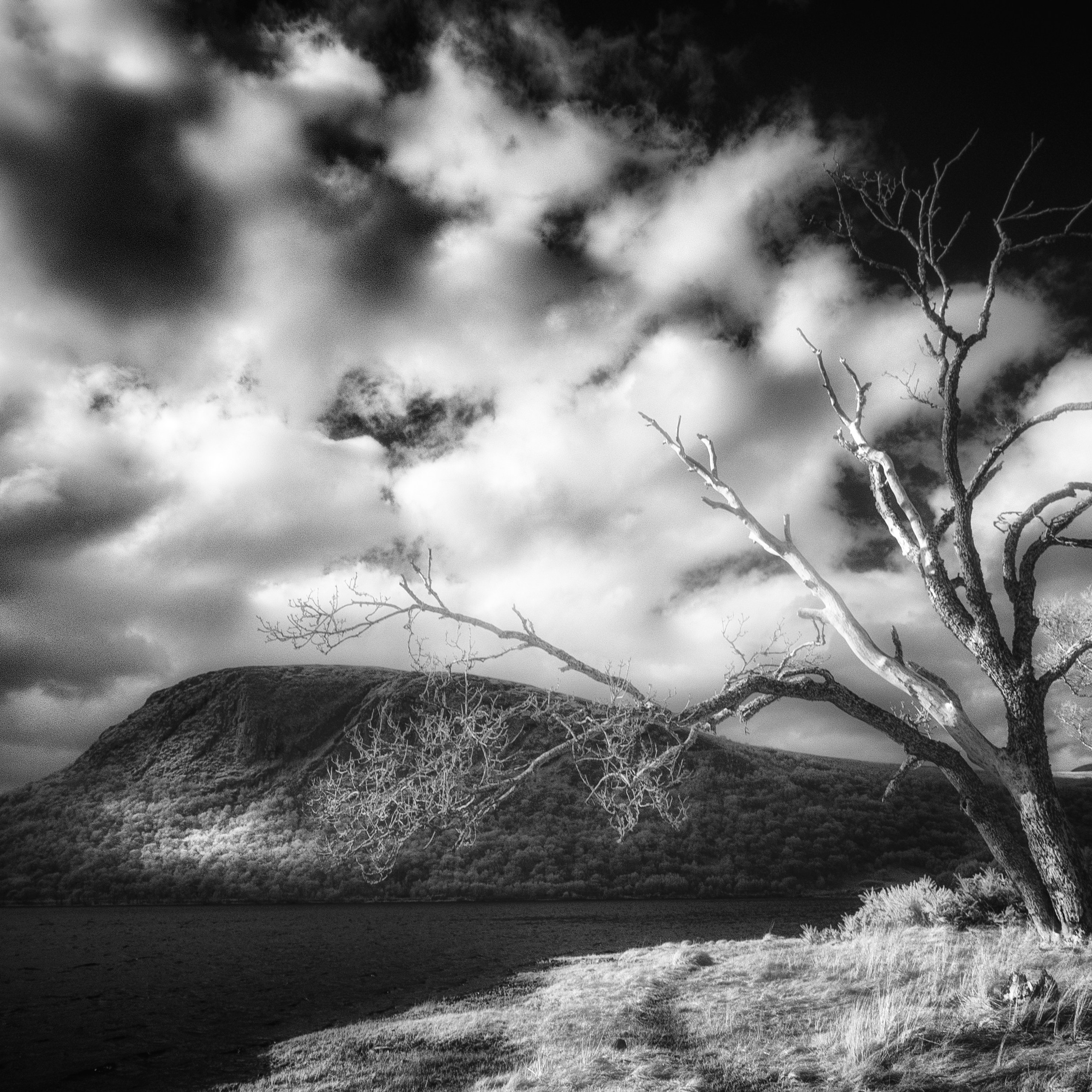 The Land