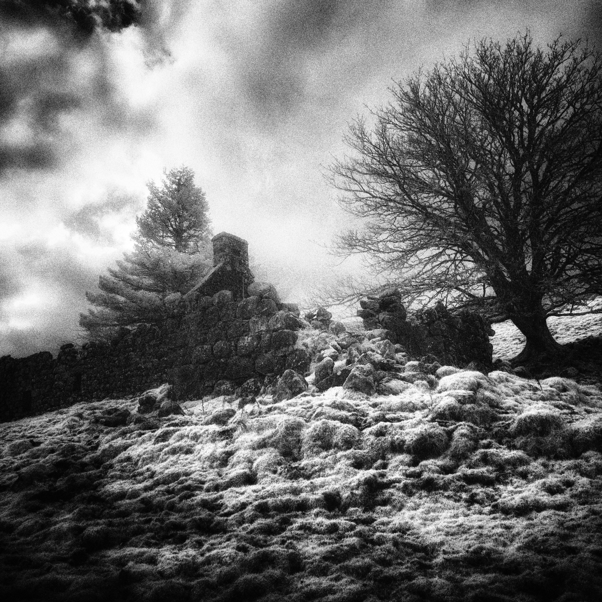The Empty Lands