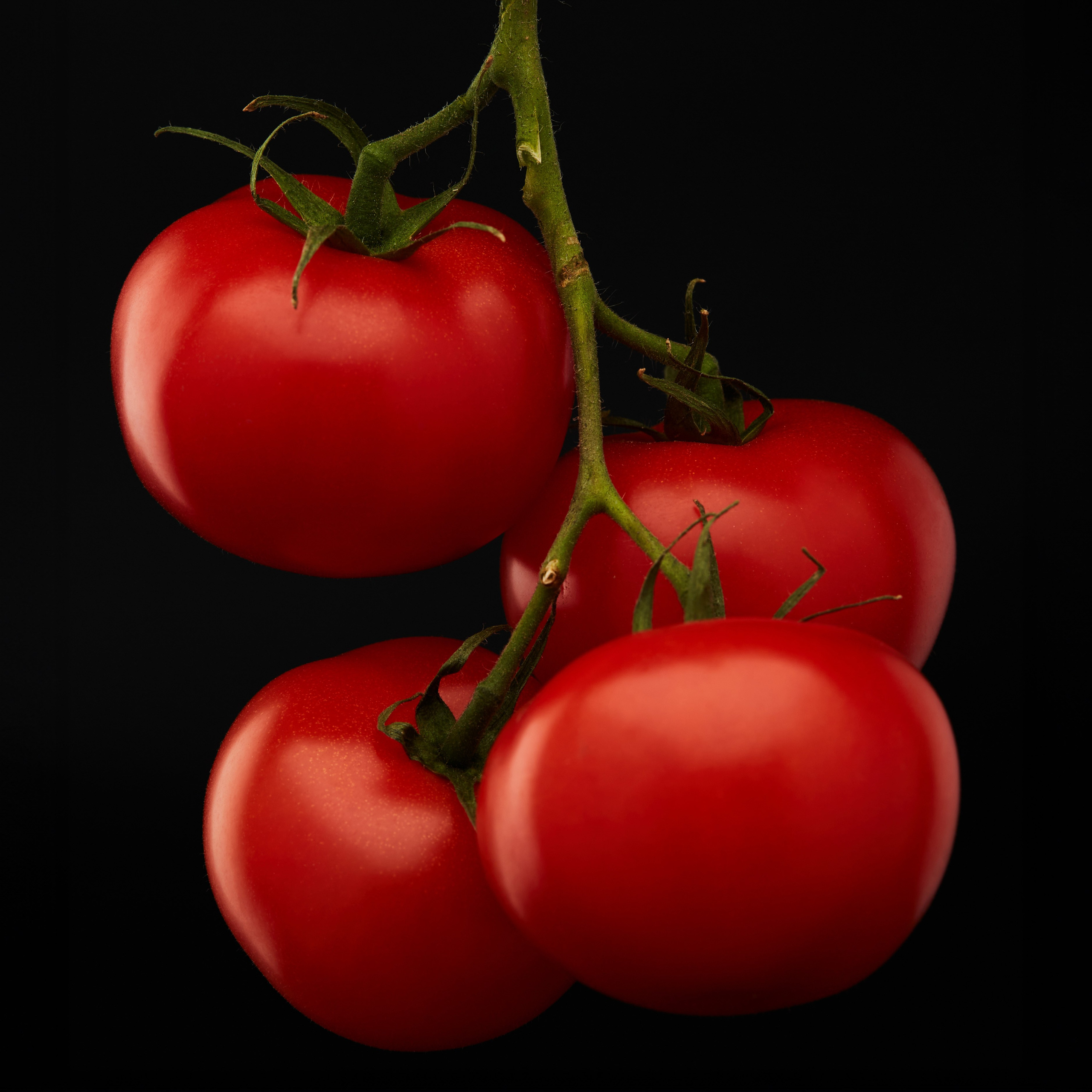 Billboard üçün qida fotosu