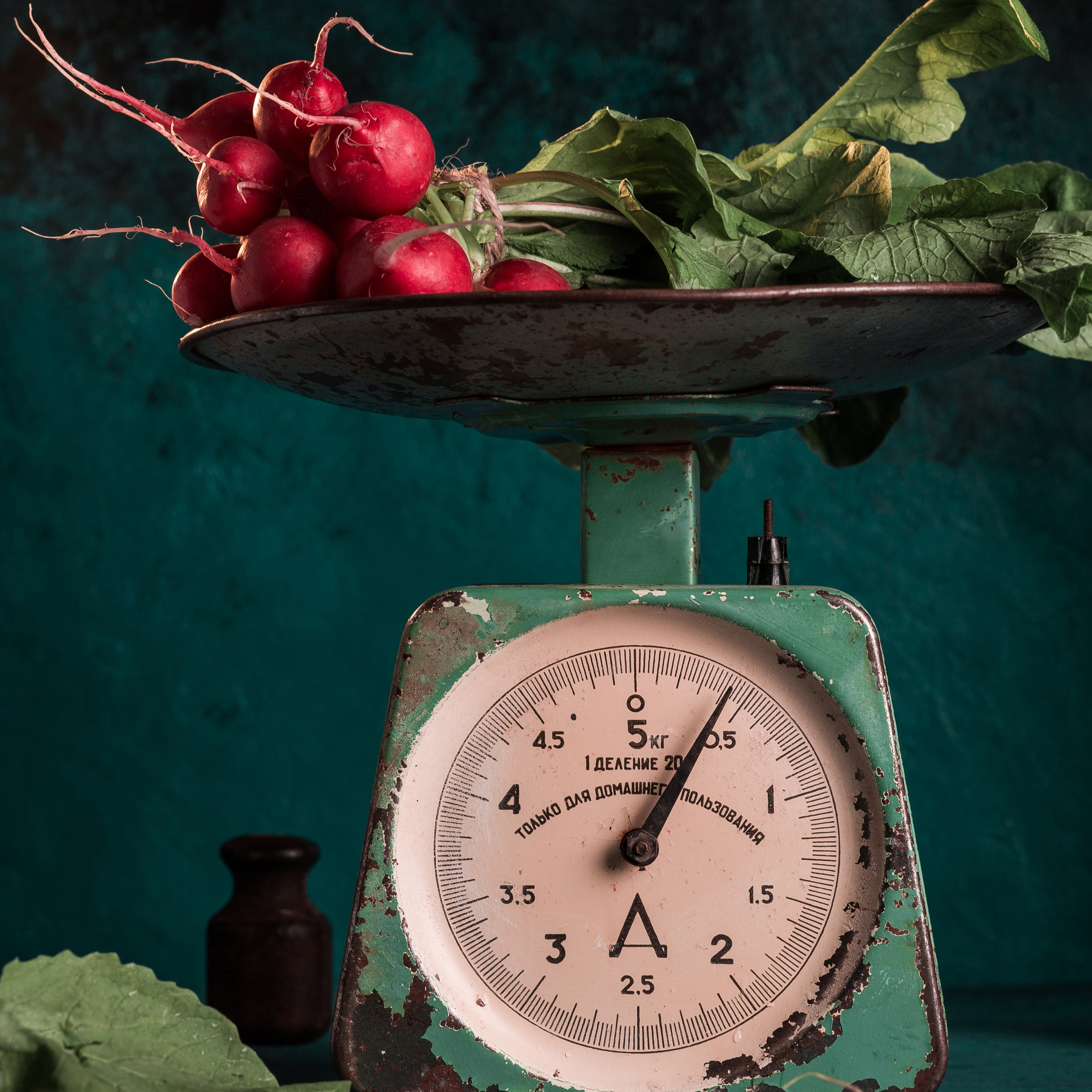 Instagram üçün qida paylaşımı