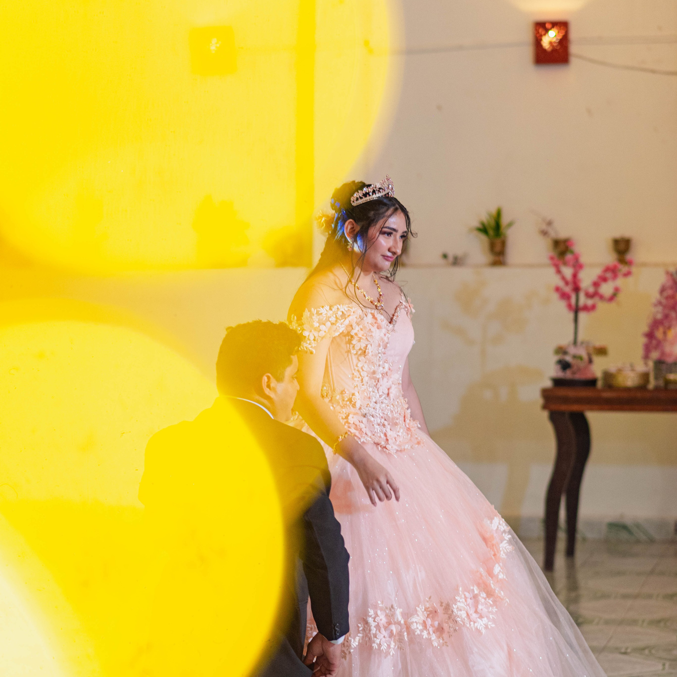 Alondra. Fotógrafo "dD" Didier Dzul