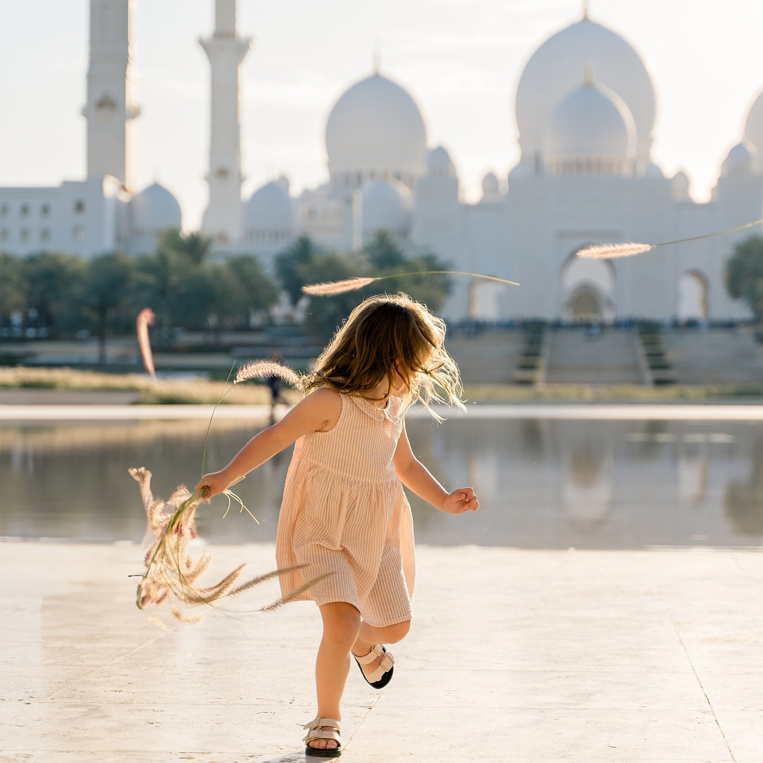 Мечеть Шейха Зайда