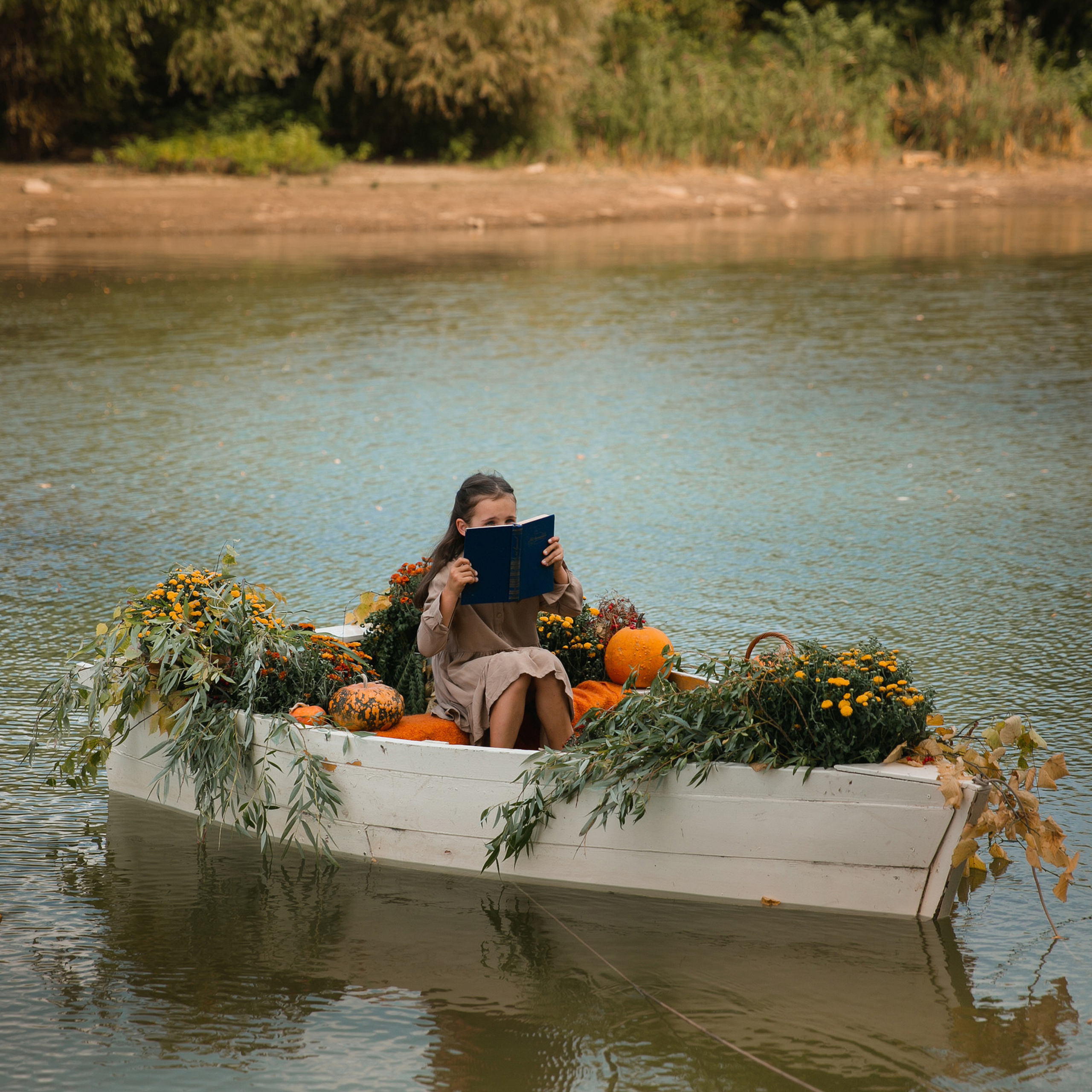 Reviews. Family and children’s photographer in Chicago