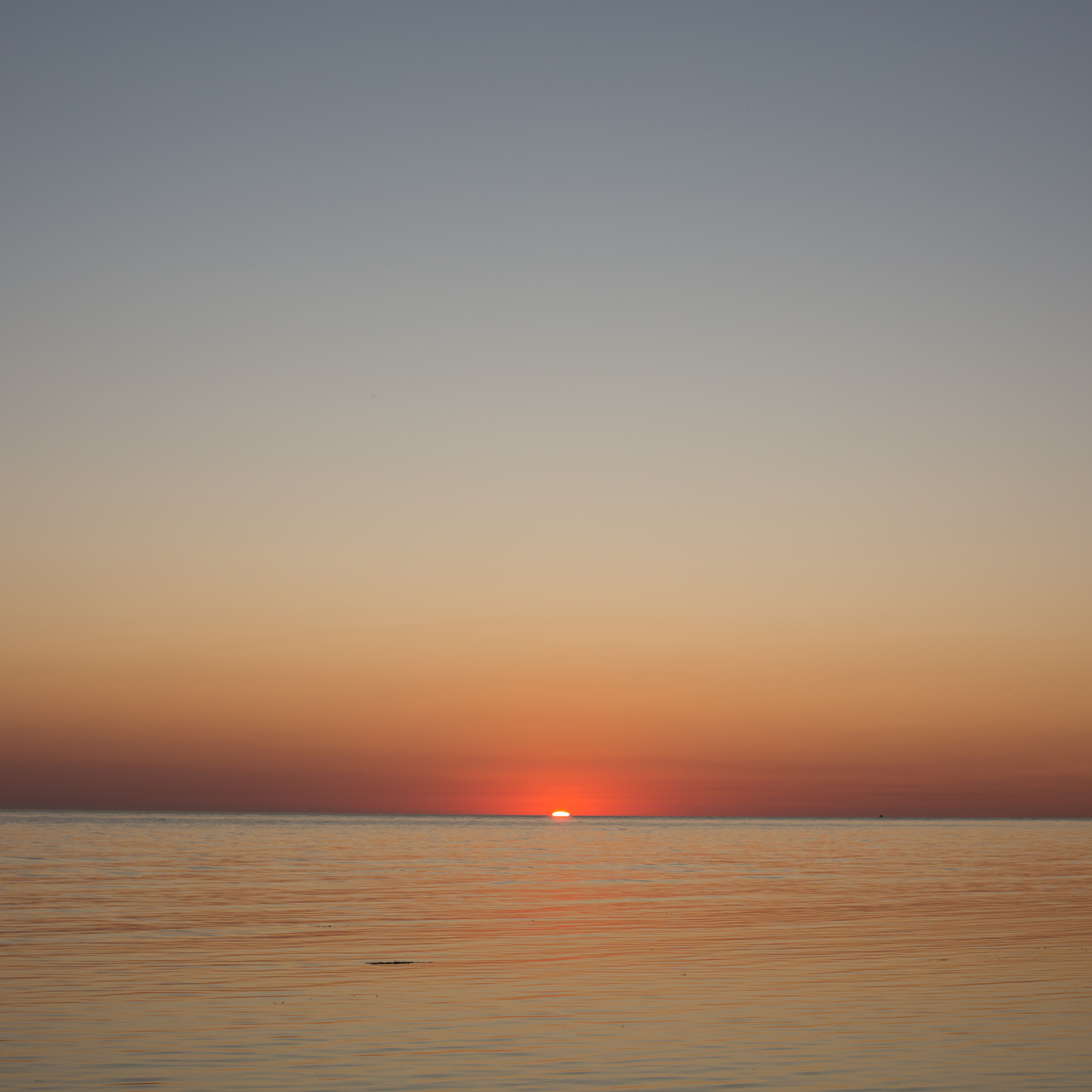 Reviews. Family and children’s photographer in Chicago