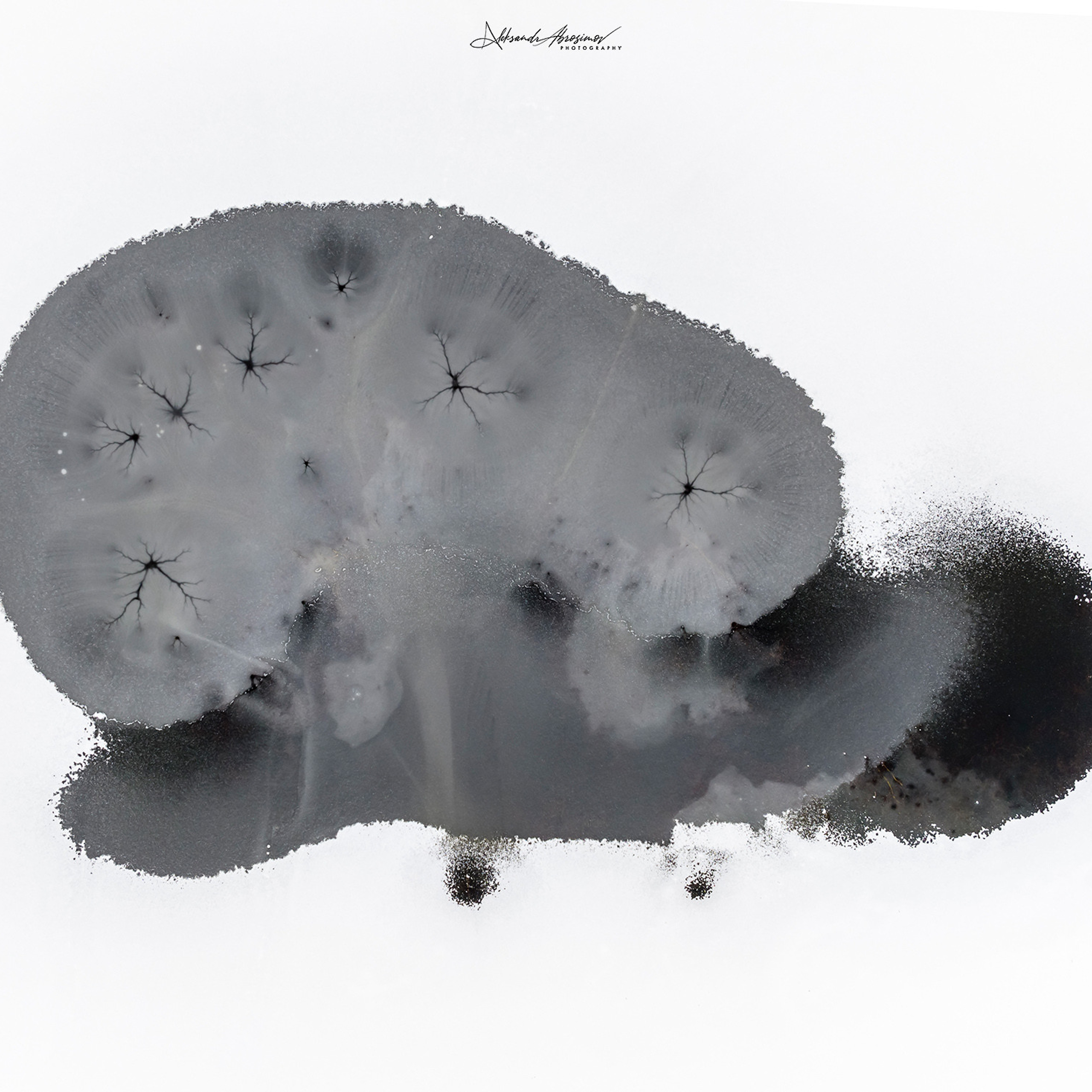 Рисунки природы. The drawings of nature.