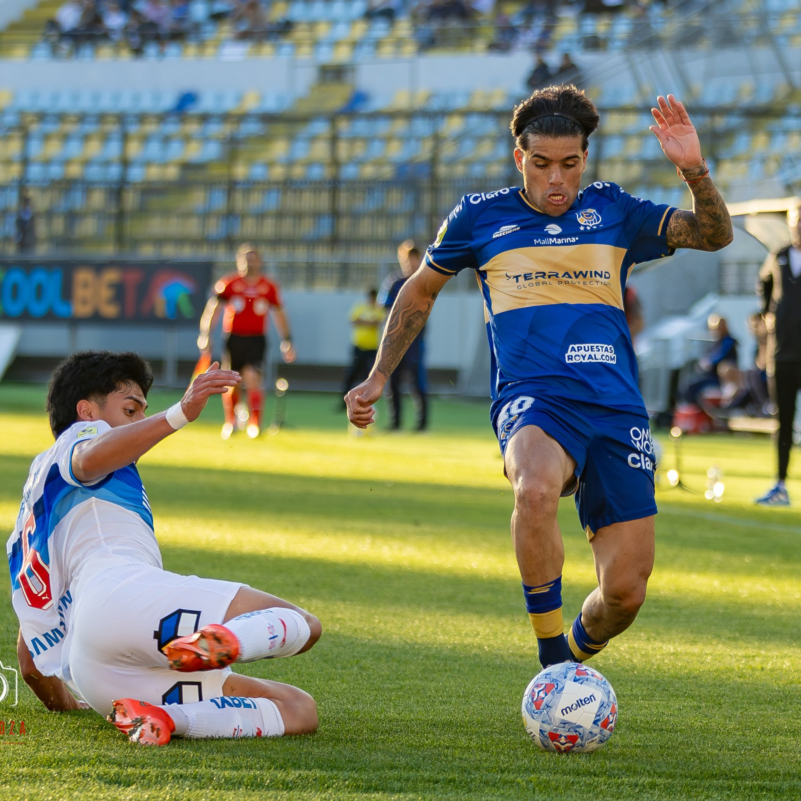 GALERIA: EVERTON VS U. CATOLICA FECHA 22 LIGA DE PRIMERA