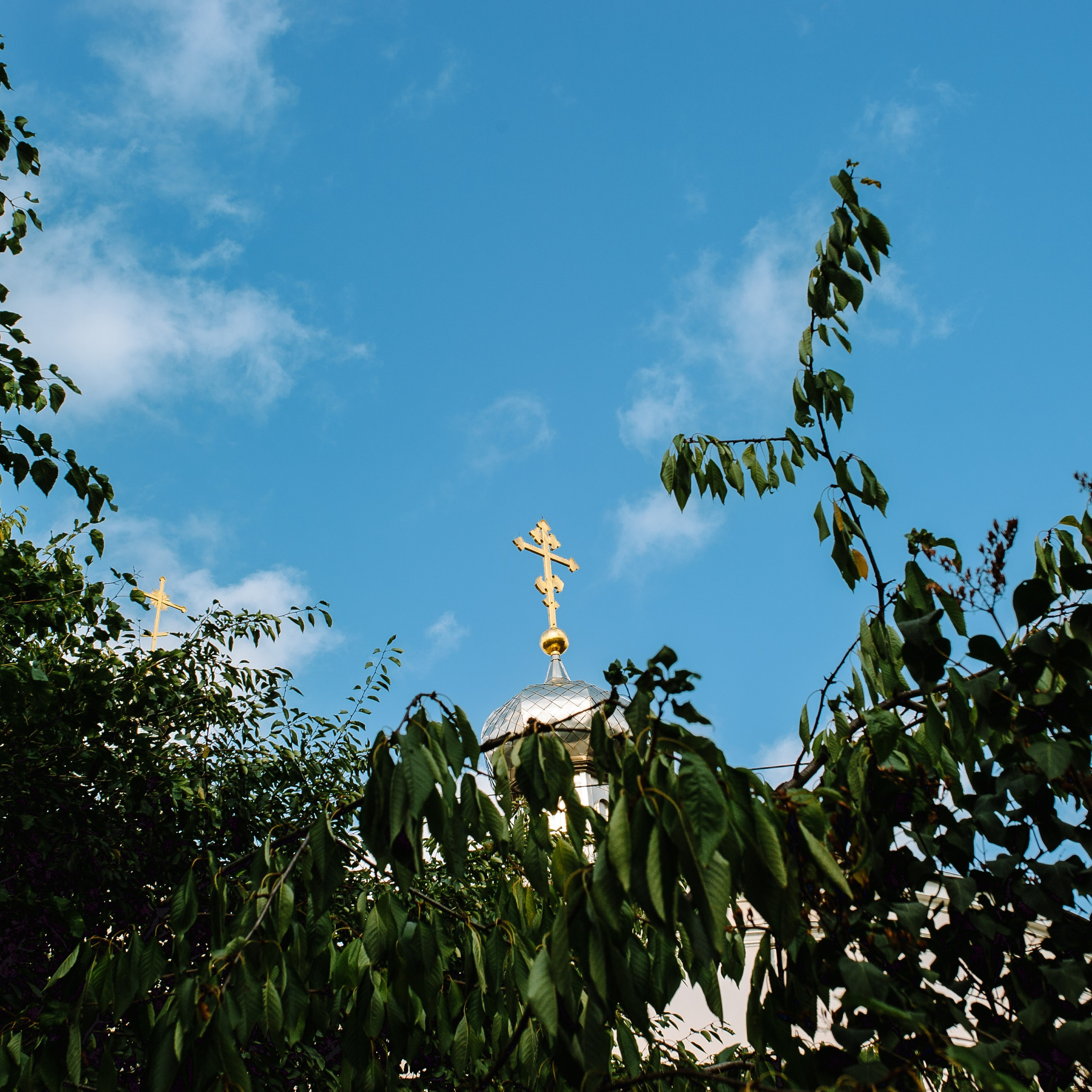 Отзывы. Семейный фотограф в Кишинёве THOMAS SHTIFT