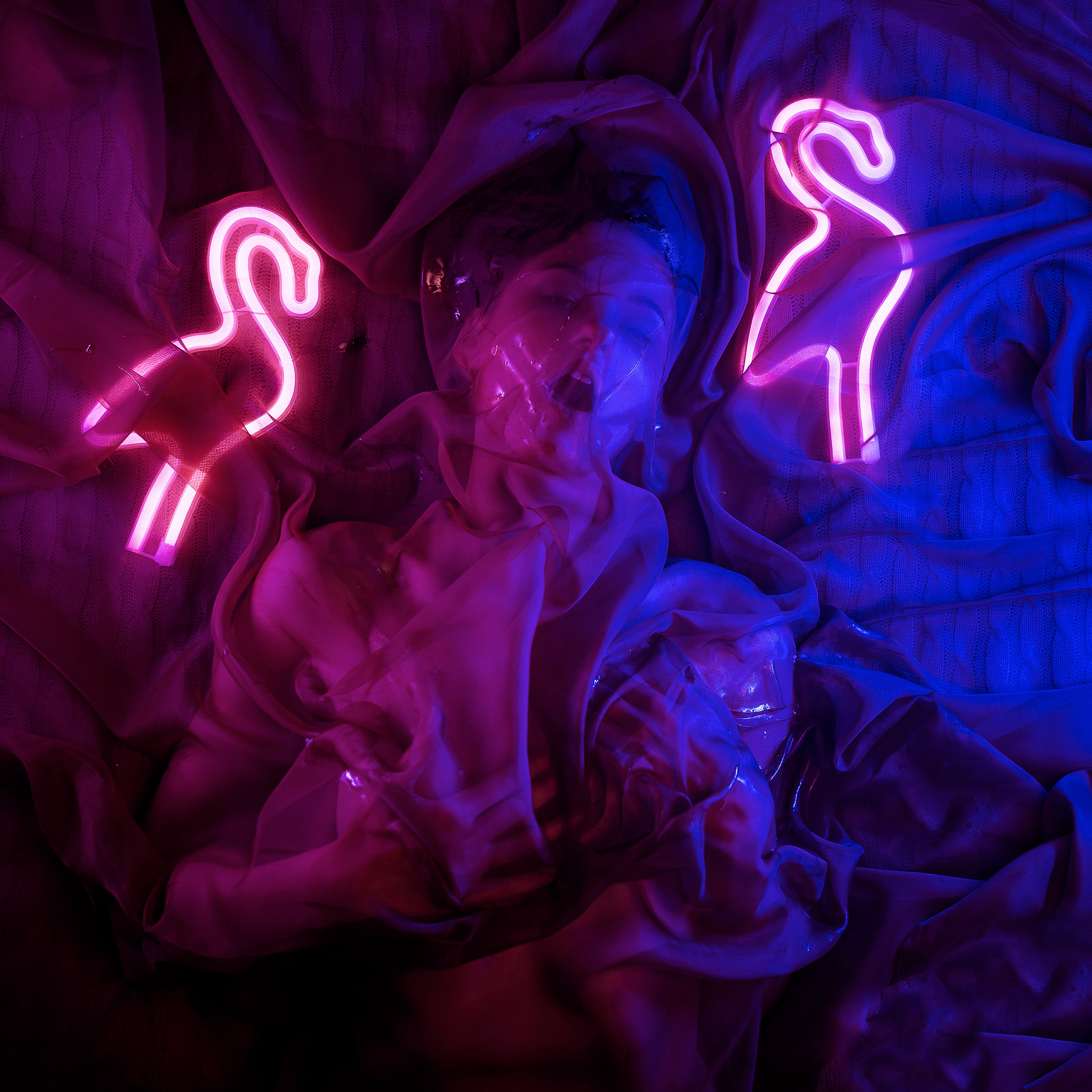 Pink Rabbit. Il fotografo Dmitrii Shmatov