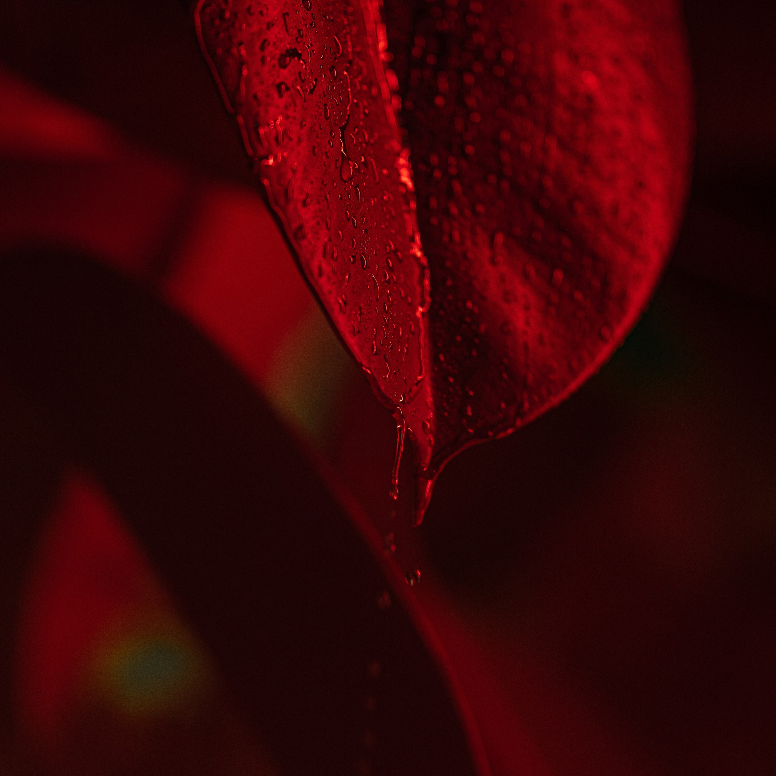 Photography for coffe brand in neon style. Dmitrii Shmatov — High-End Portrait & Fashion Photographer in Milan