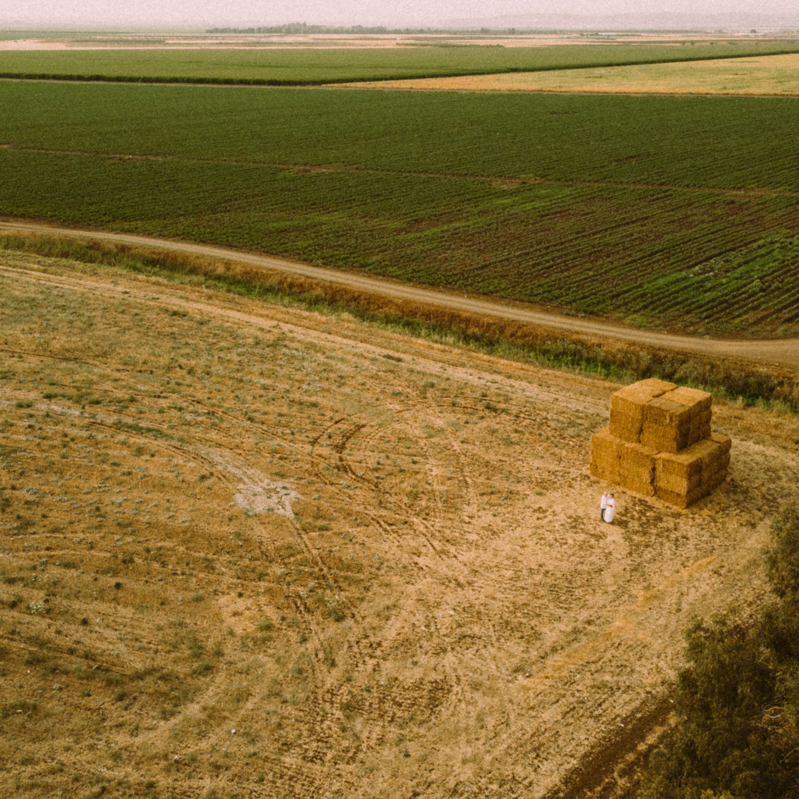 Отзывы. Профессиональный фотограф в Израиле Александр Лурье