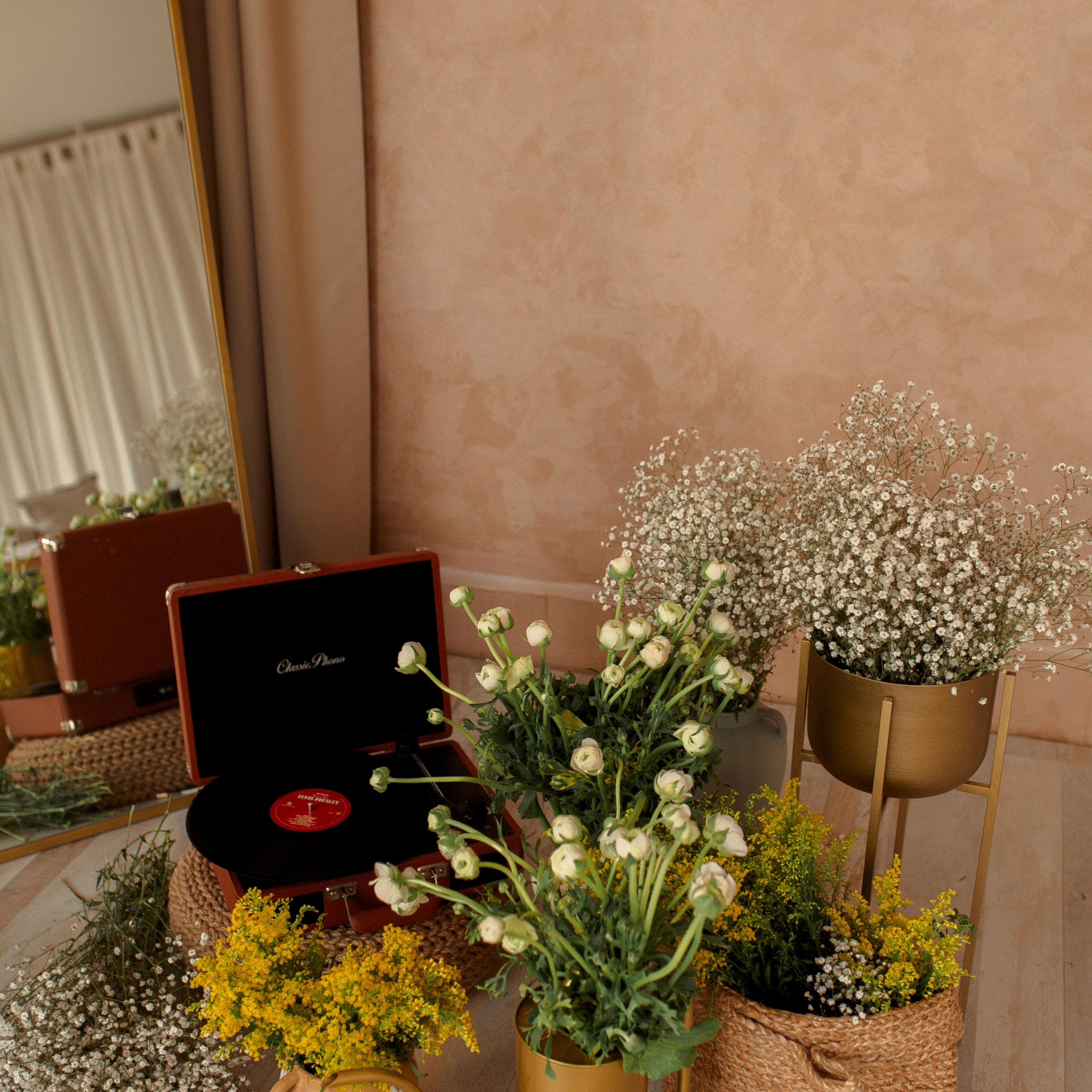 Фотосессия в студии Фотосинтез. Алсу Девели. Фотограф в Алании в Турции, Аланья, Сиде, Белек, Анталия, Кемер, Конаклы, Окурджалар. Фотосъемки в Алании. Фотосессия в Алания