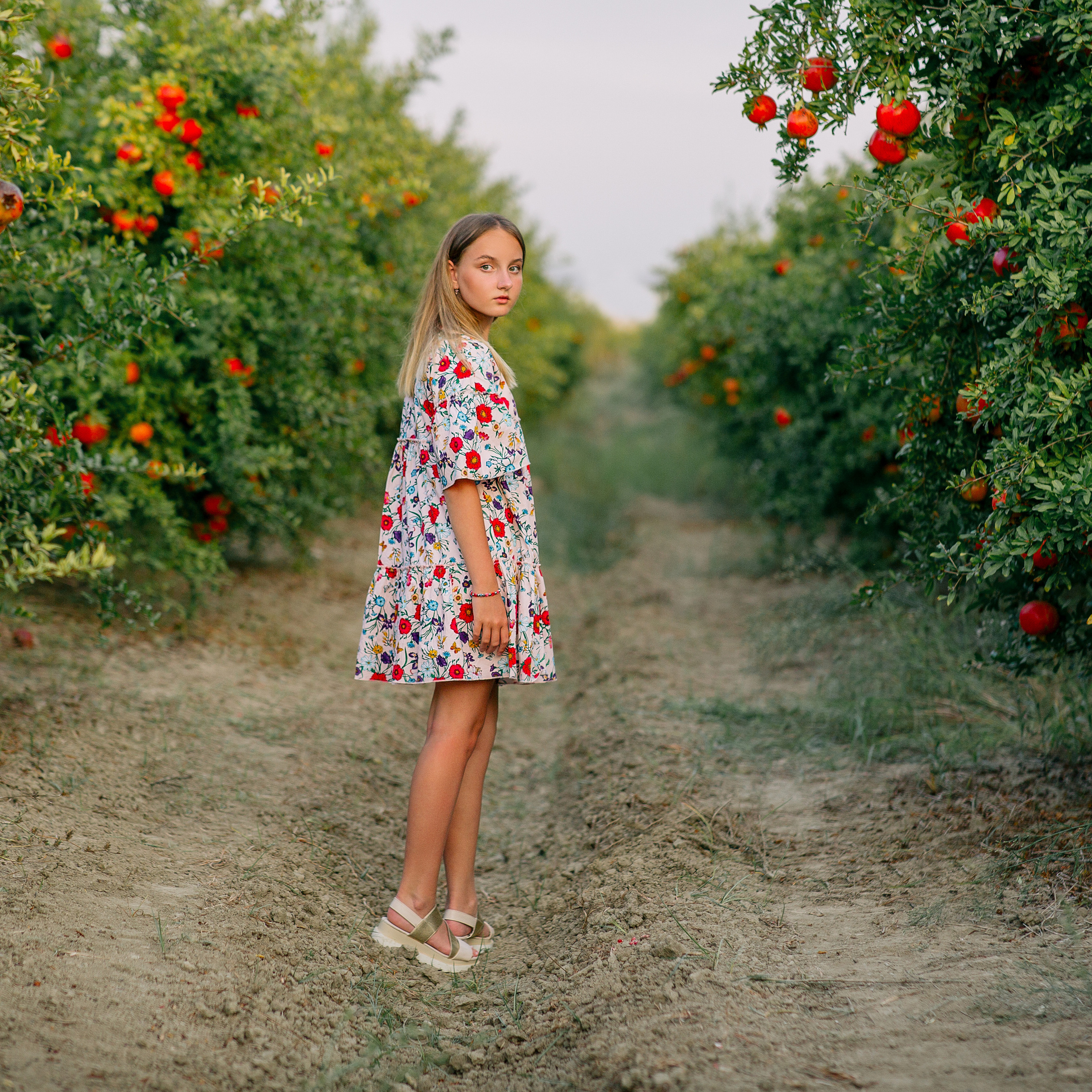 Семейная фотосессия в гранатовом саду. Алсу Девели. Фотограф в Алании в Турции, Аланья, Сиде, Белек, Анталия, Кемер, Конаклы, Окурджалар. Фотосъемки в Алании. Фотосессия в Алания