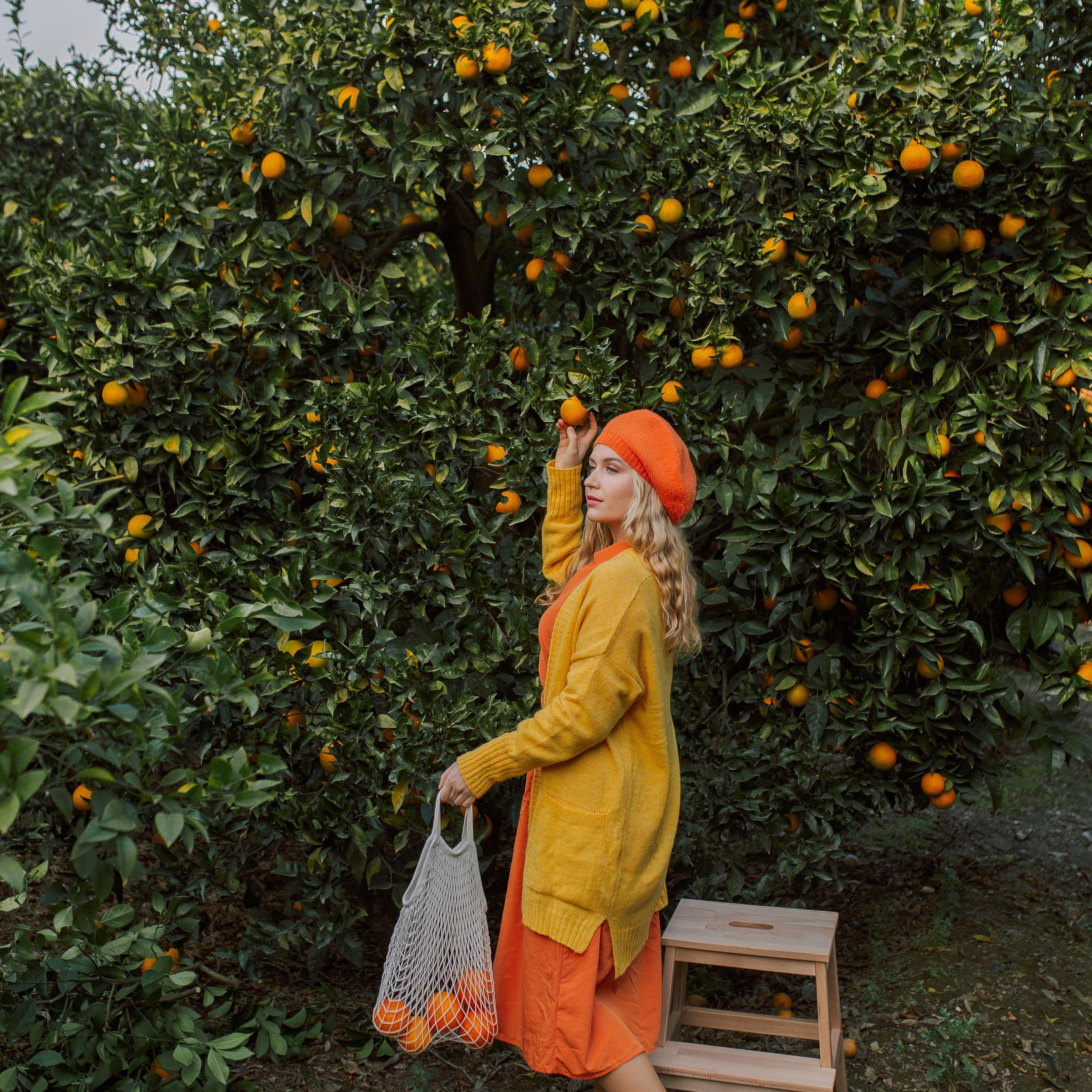 Фотосессия в апельсиновом саду. Алсу Девели. Фотограф в Алании в Турции, Аланья, Сиде, Белек, Анталия, Кемер, Конаклы, Окурджалар. Фотосъемки в Алании. Фотосессия в Алания