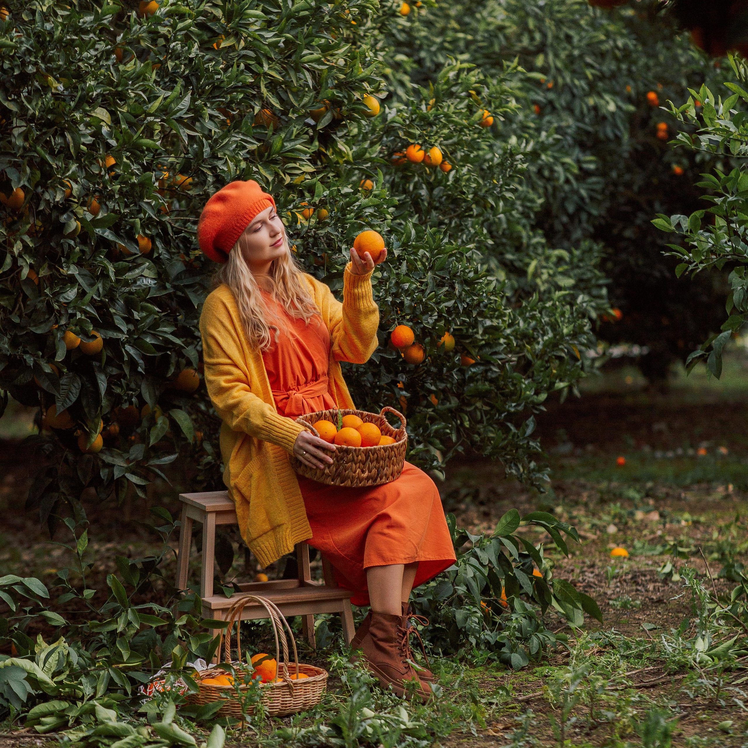 Фотосессия в апельсиновом саду. Алсу Девели. Фотограф в Алании в Турции, Аланья, Сиде, Белек, Анталия, Кемер, Конаклы, Окурджалар. Фотосъемки в Алании. Фотосессия в Алания