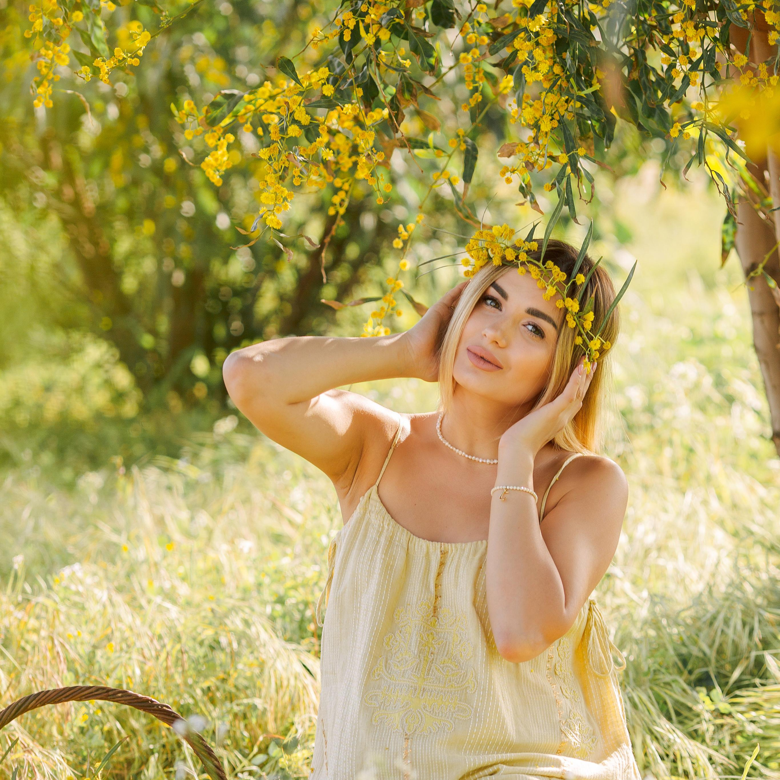 Photo shoot of the unique beauty of yellow mimosa trees.