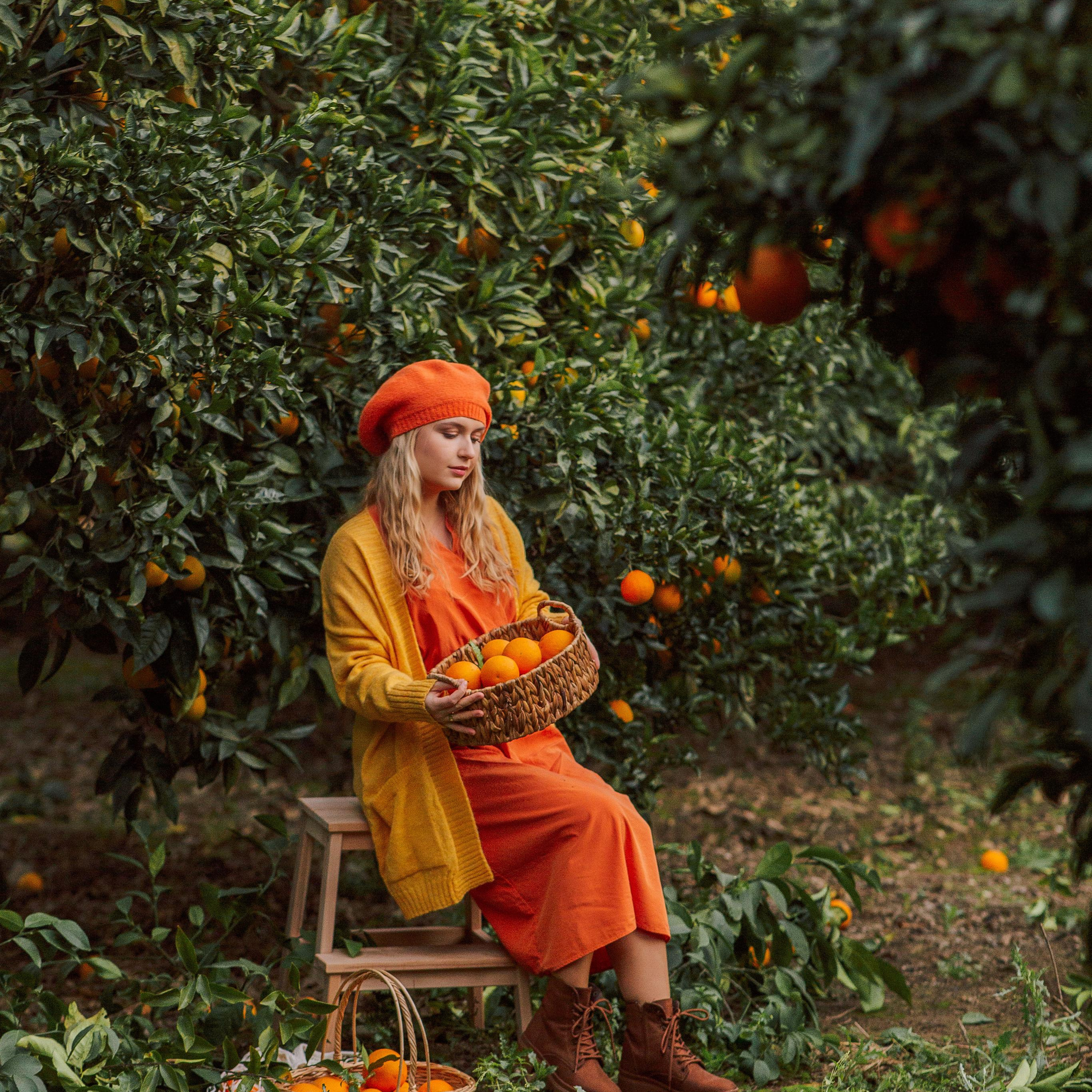 Фотосессия в апельсиновом саду. Алсу Девели. Фотограф в Алании в Турции, Аланья, Сиде, Белек, Анталия, Кемер, Конаклы, Окурджалар. Фотосъемки в Алании. Фотосессия в Алания