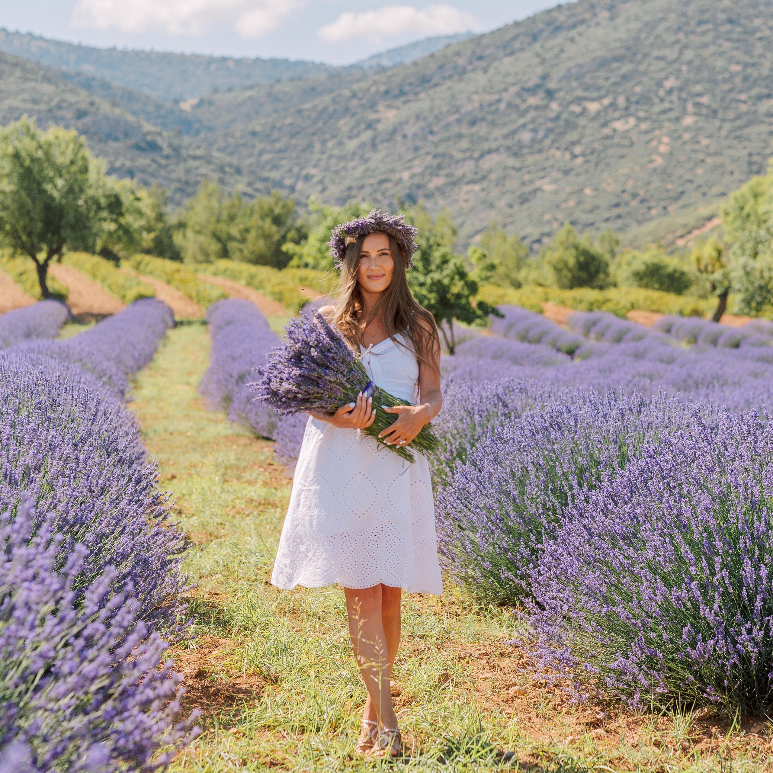Family photo session in lavender fields. Alsu Develi, Photographer in Turkey, Alanya, Side, Belek, Antalya, Kemer, Turkiye. Photoshooting in Alanya. Photosession in Belek, Side
