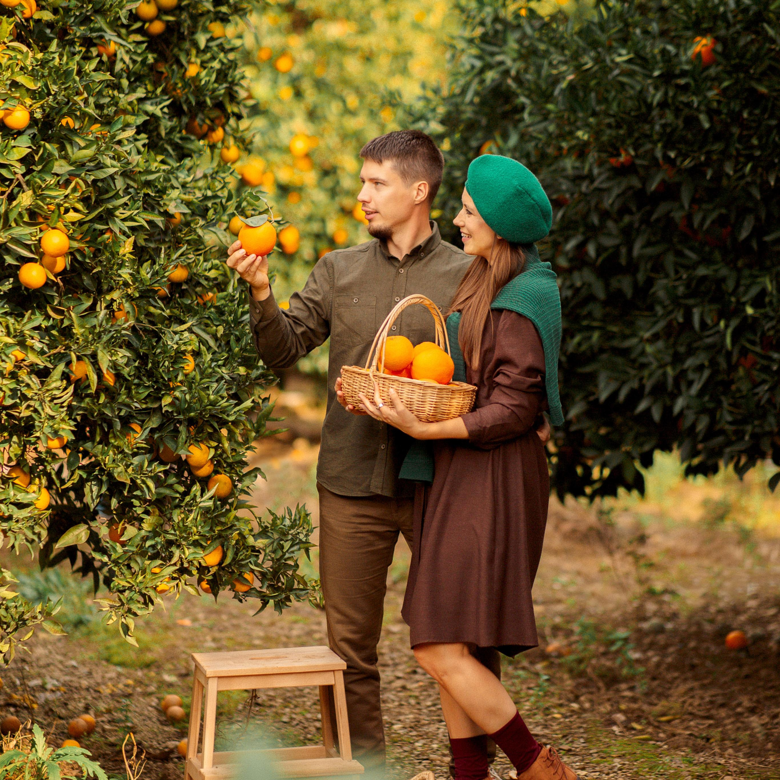 Семейная фотосессия в апельсиновом саду. Алсу Девели. Фотограф в Алании в Турции, Аланья, Сиде, Белек, Анталия, Кемер, Конаклы, Окурджалар. Фотосъемки в Алании. Фотосессия в Алания
