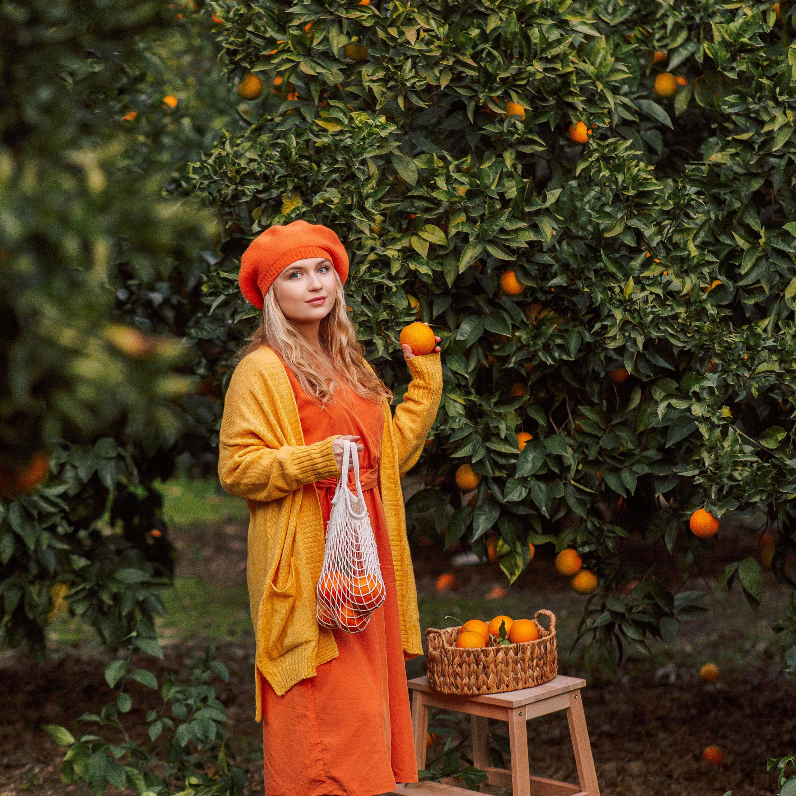 Фотосессия в апельсиновом саду. Алсу Девели. Фотограф в Алании в Турции, Аланья, Сиде, Белек, Анталия, Кемер, Конаклы, Окурджалар. Фотосъемки в Алании. Фотосессия в Алания