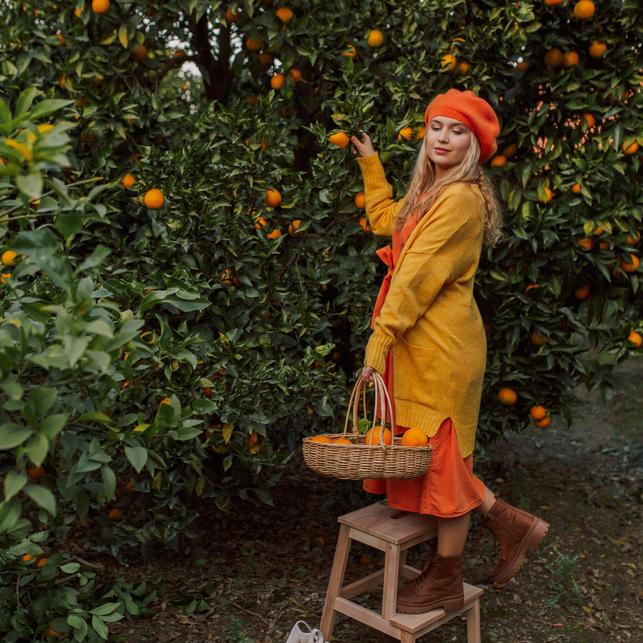 Фотосессия в апельсиновом саду. Алсу Девели. Фотограф в Алании в Турции, Аланья, Сиде, Белек, Анталия, Кемер, Конаклы, Окурджалар. Фотосъемки в Алании. Фотосессия в Алания