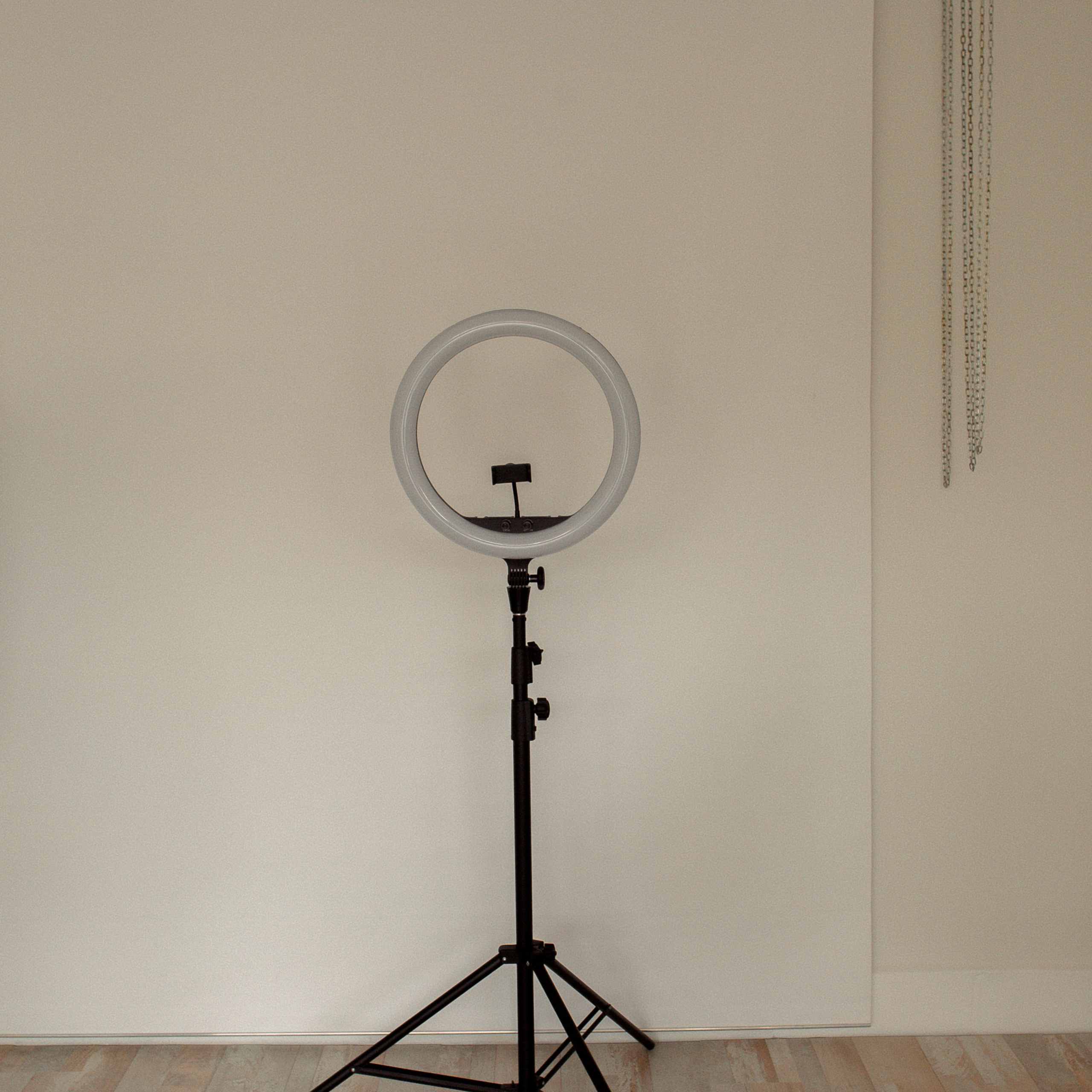 Студия Фотосинтез Аланья махмутлар. Алсу Девели. Фотограф в Алании в Турции, Аланья, Сиде, Белек, Анталия, Кемер, Конаклы, Окурджалар. Фотосъемки в Алании. Фотосессия в Алания