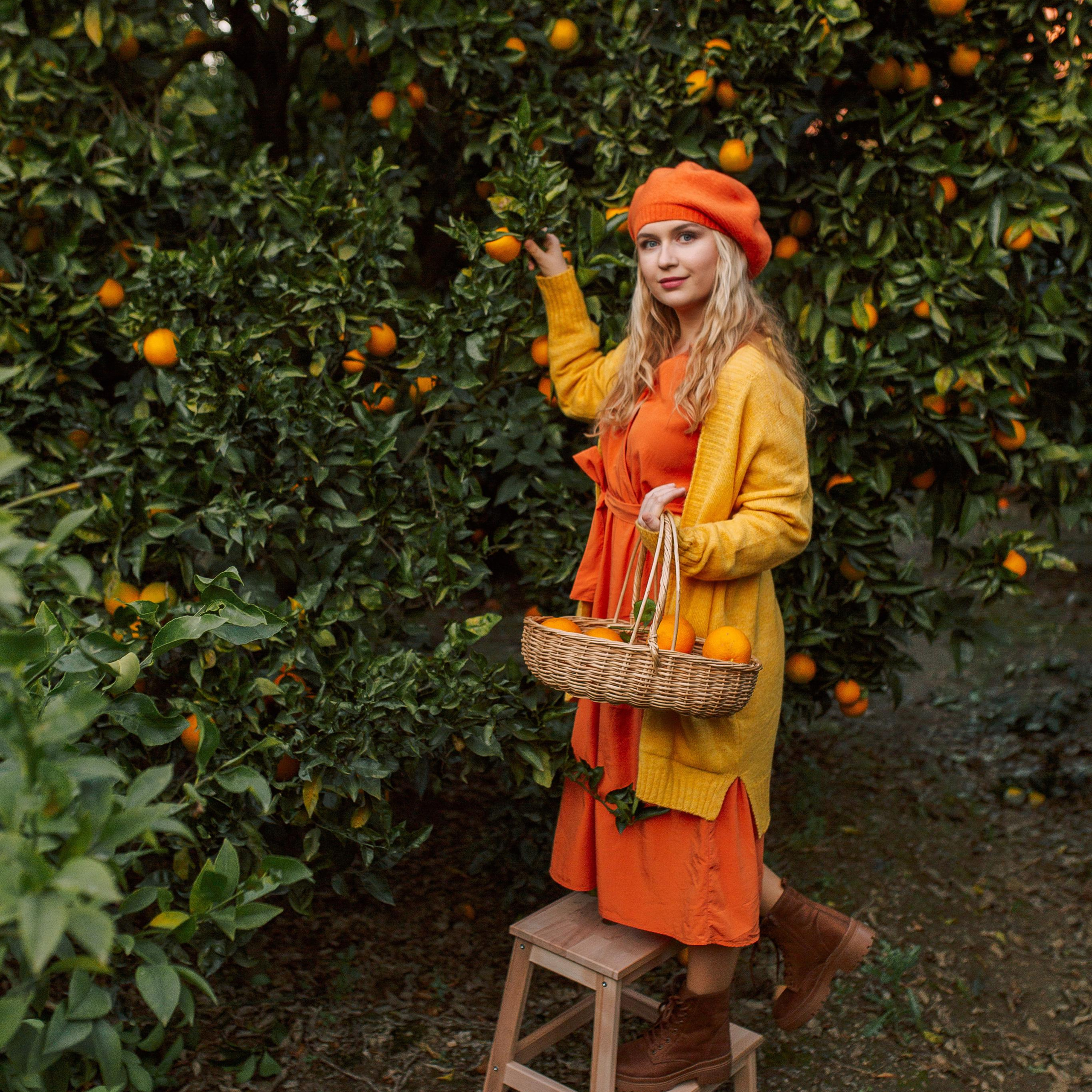 Фотосессия в апельсиновом саду. Алсу Девели. Фотограф в Алании в Турции, Аланья, Сиде, Белек, Анталия, Кемер, Конаклы, Окурджалар. Фотосъемки в Алании. Фотосессия в Алания