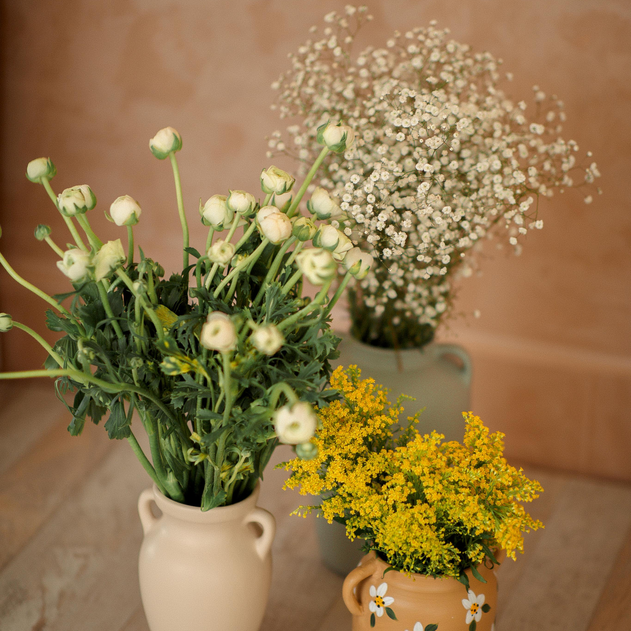 Фотосессия в студии Фотосинтез. Алсу Девели. Фотограф в Алании в Турции, Аланья, Сиде, Белек, Анталия, Кемер, Конаклы, Окурджалар. Фотосъемки в Алании. Фотосессия в Алания