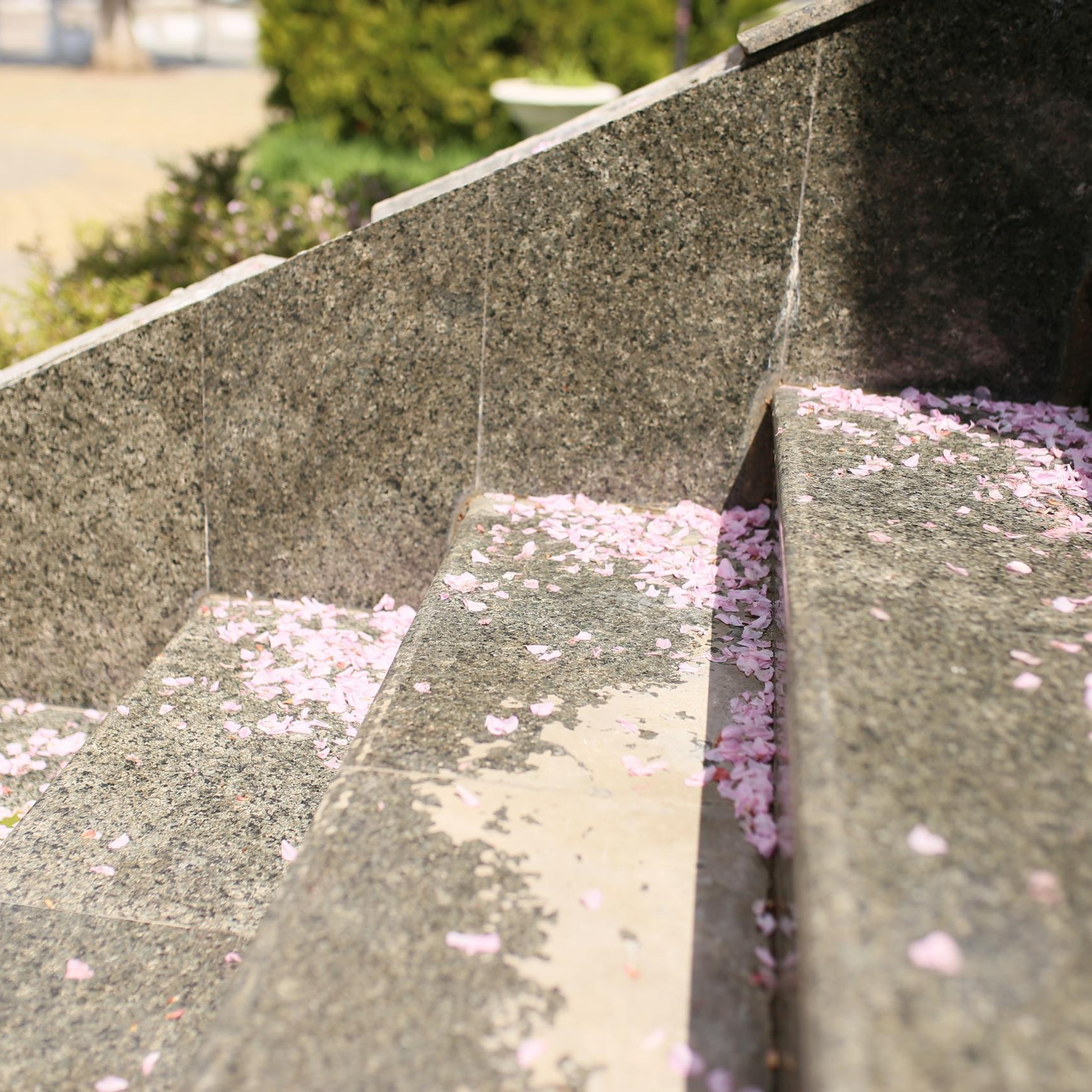 .feedback | отзывы