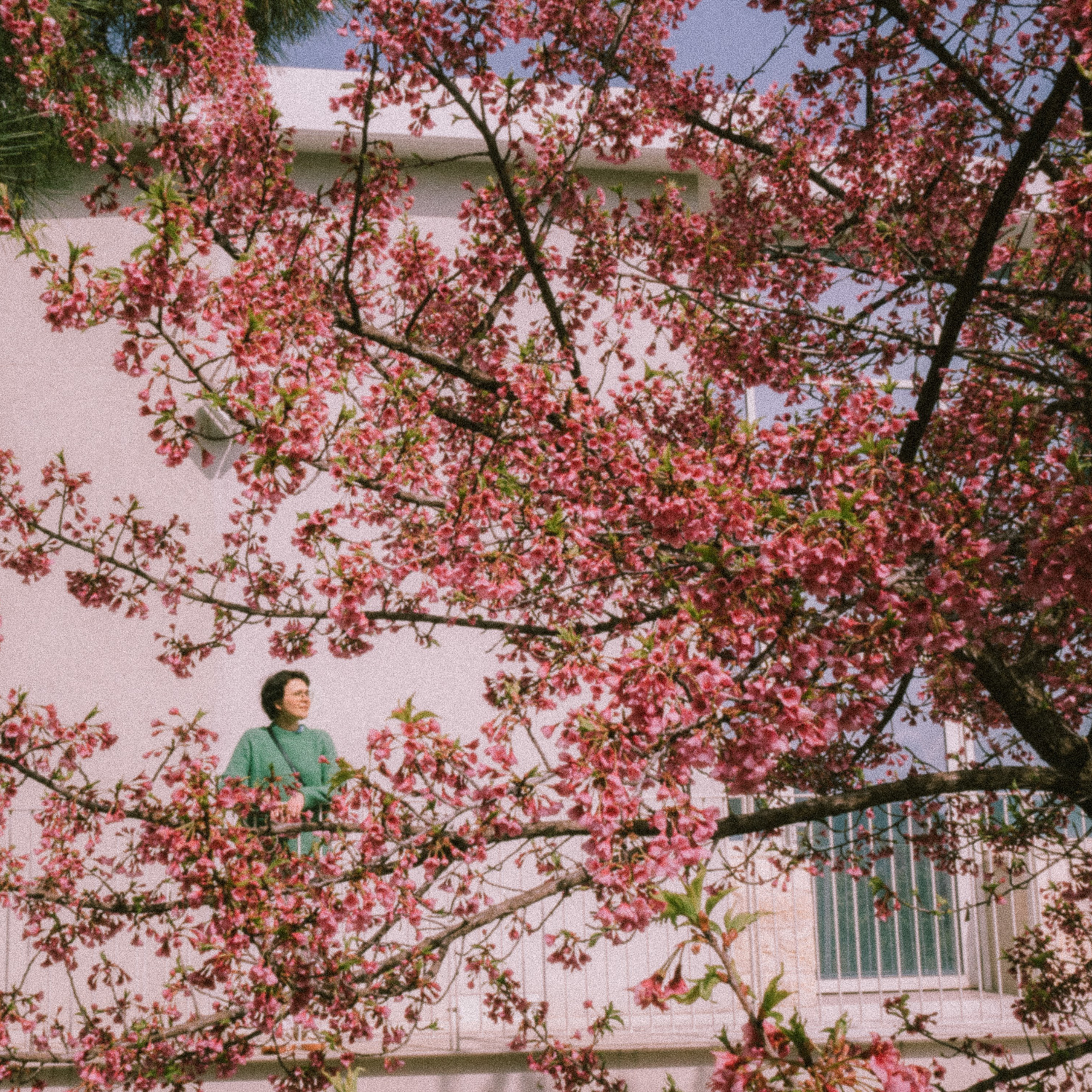 Отзывы. Film photographer