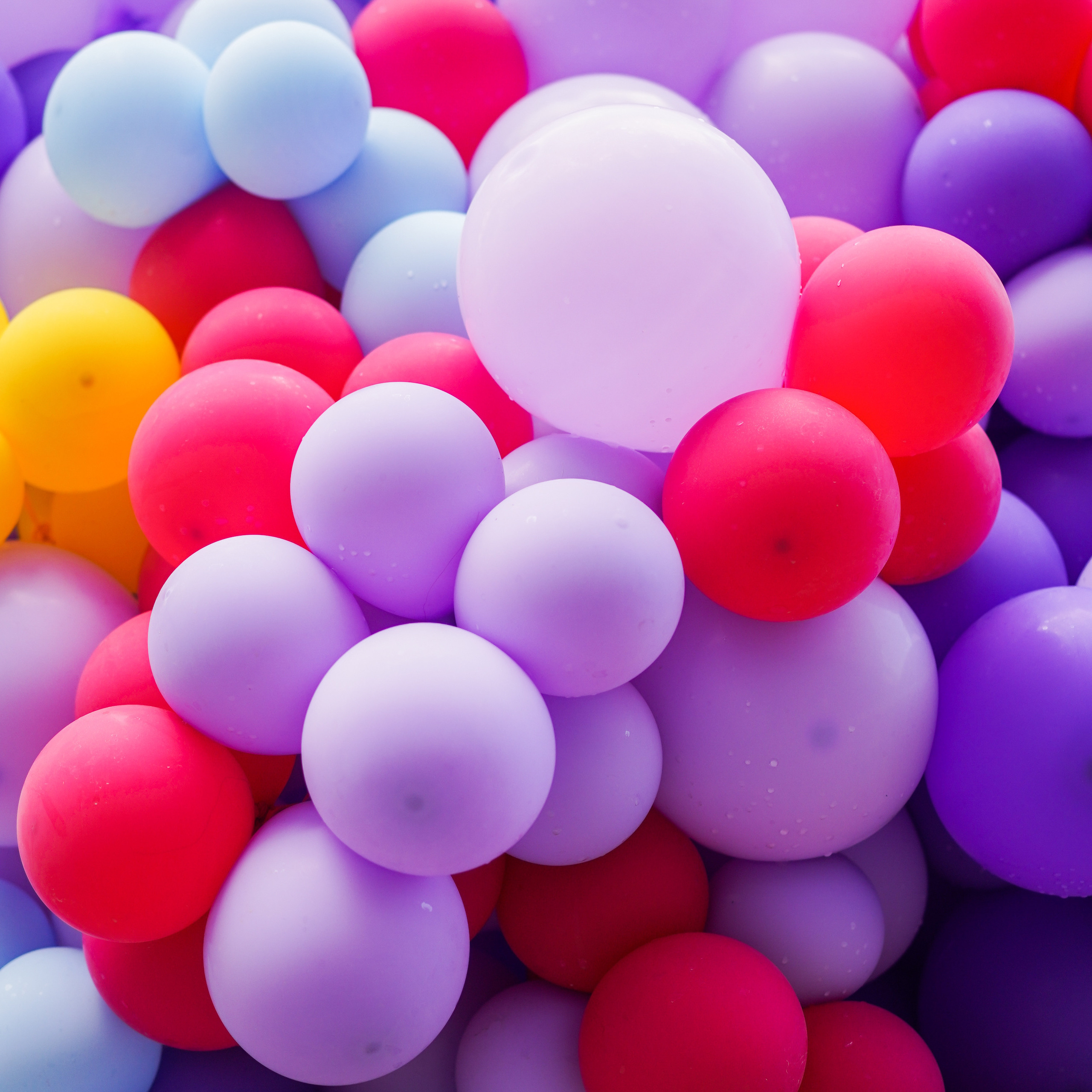 Feedback. Photographer in Tbilisi