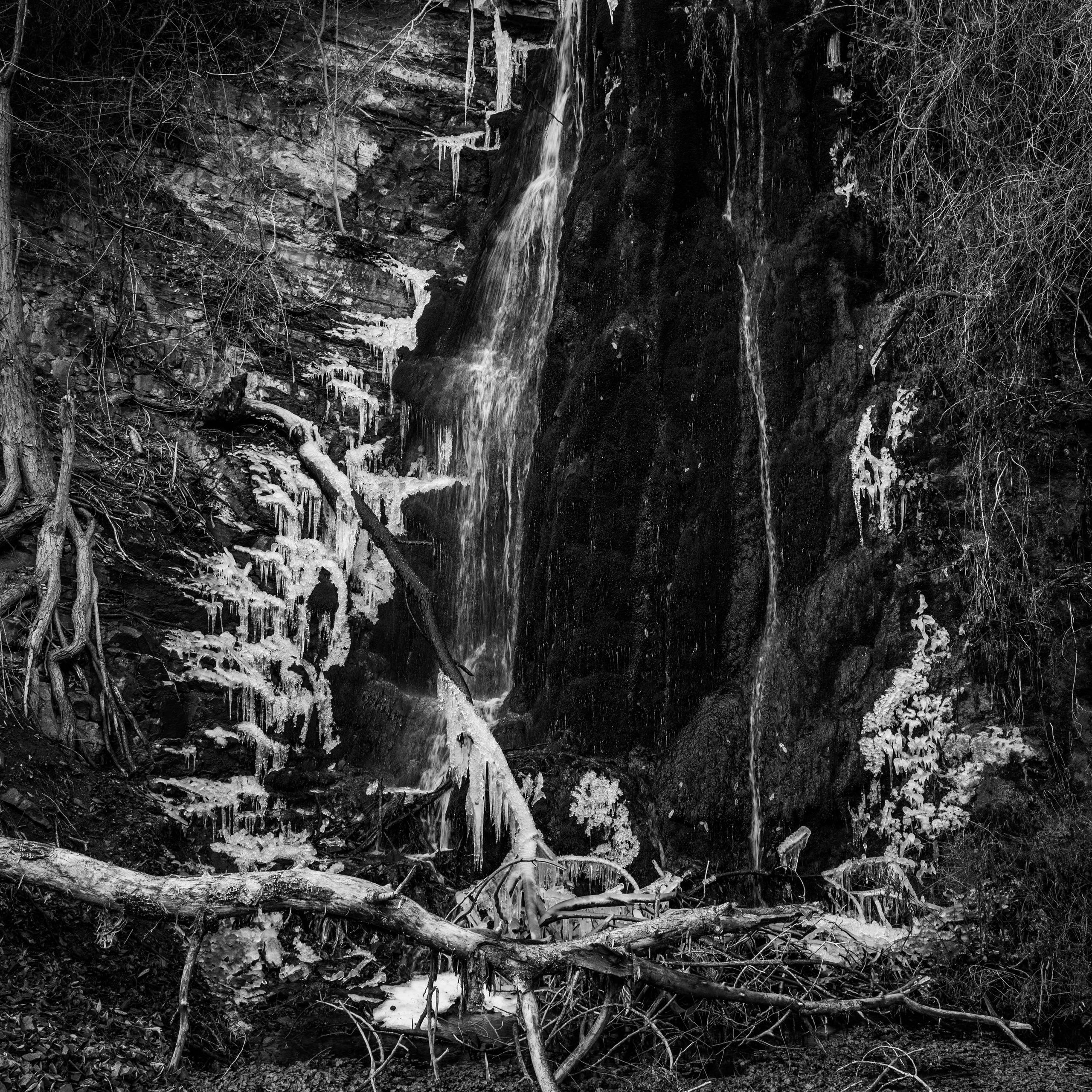 Hidden Path. Tbilisi