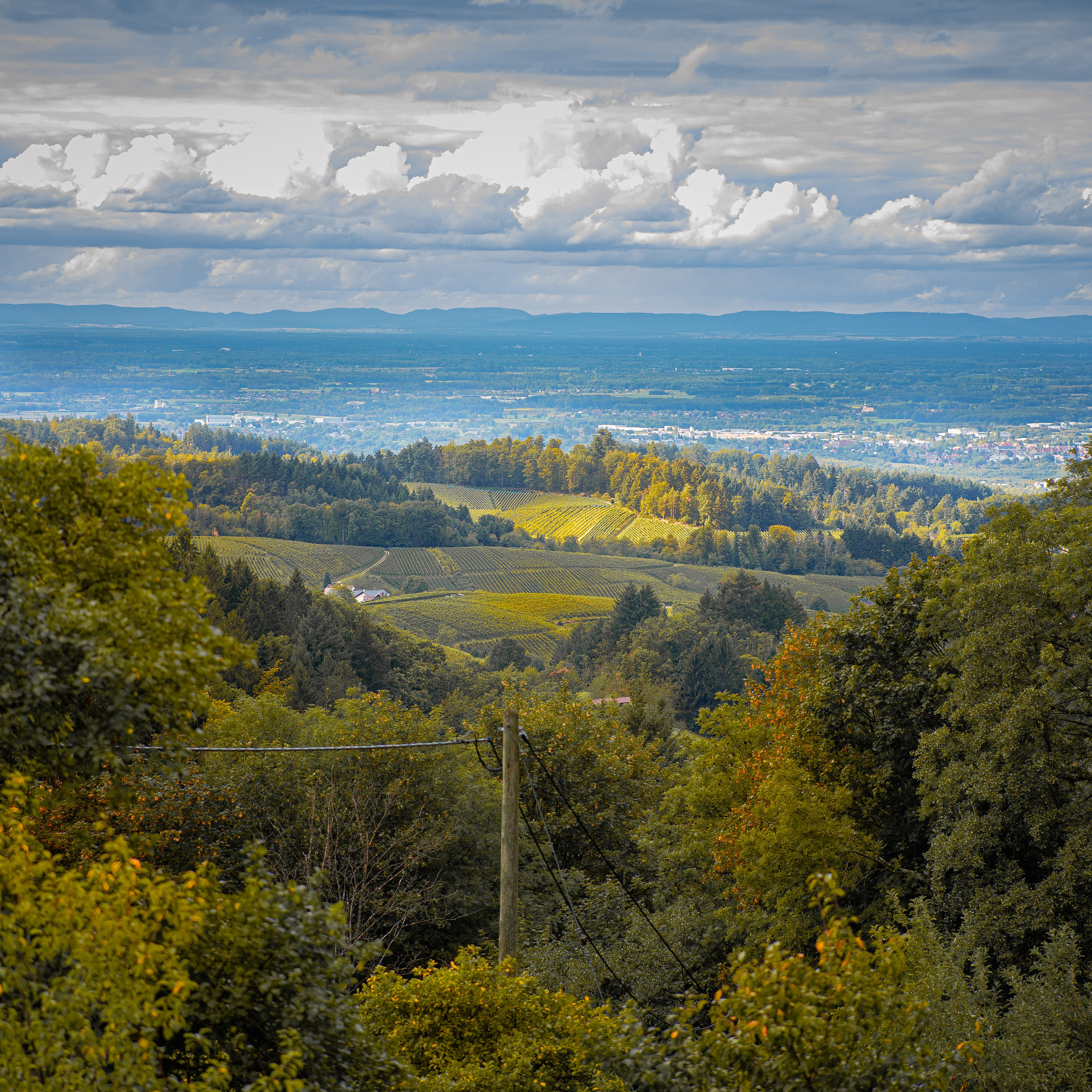 Referenzen. Fotograf NRW aus Wickede Ruhr, Milla Kunst