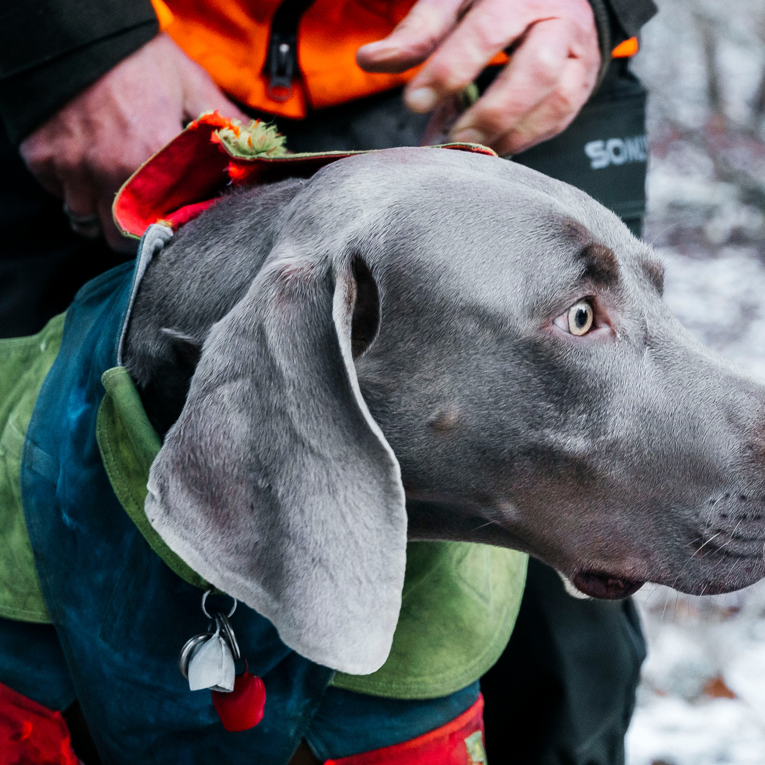 Referenzen. Irina Ruth Photography, Hamburg