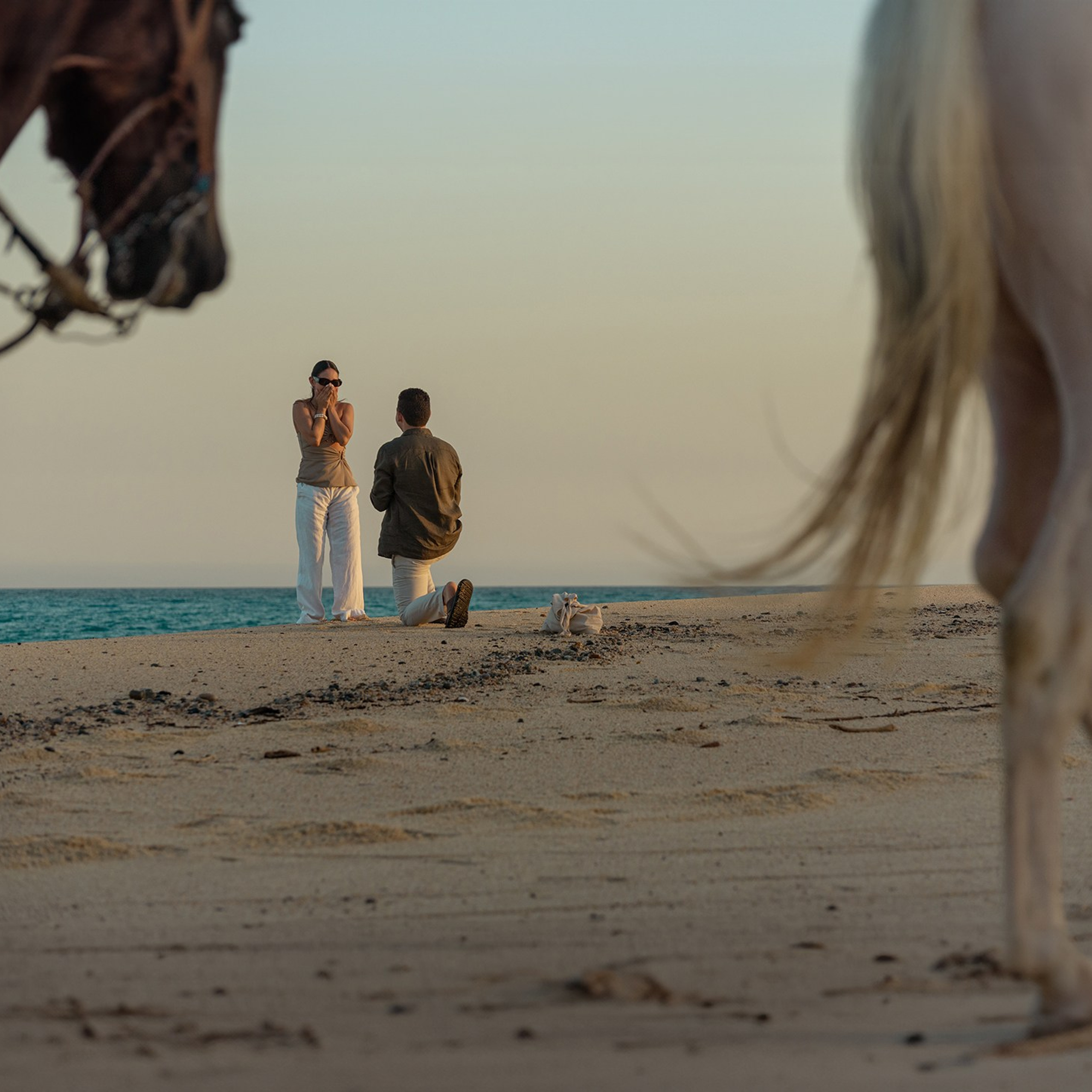Marriage proposal photoshoot in Cabo San Lucas – groom on one knee proposing at sunset by the ocean, with horses walking in the foreground and the couple framed by the sea. Destination engagement photographer in Los Cabos