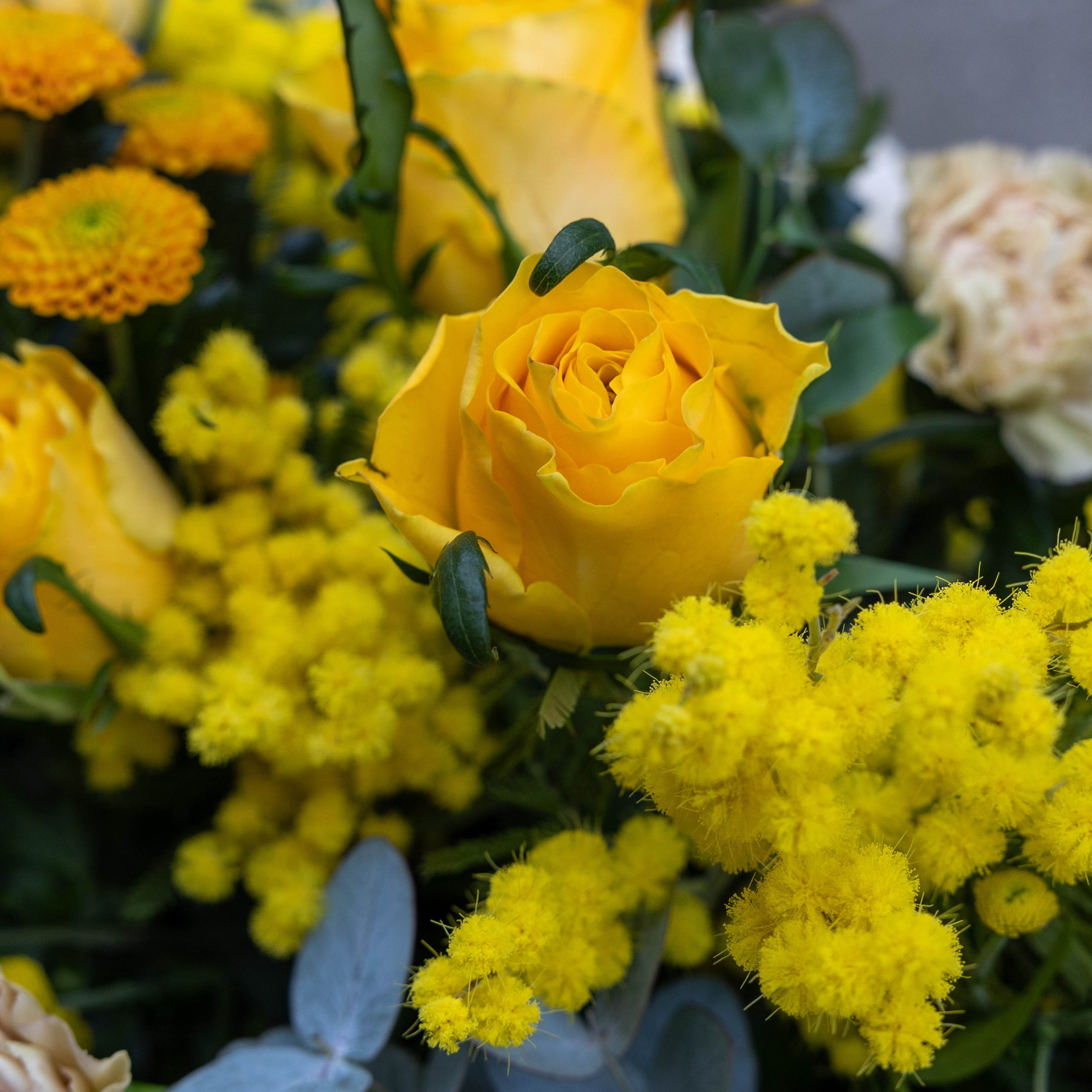 Akropolis Blomster leverer juledekorationer og blomster via Wolt – bestil og få leveret i Aarhus.