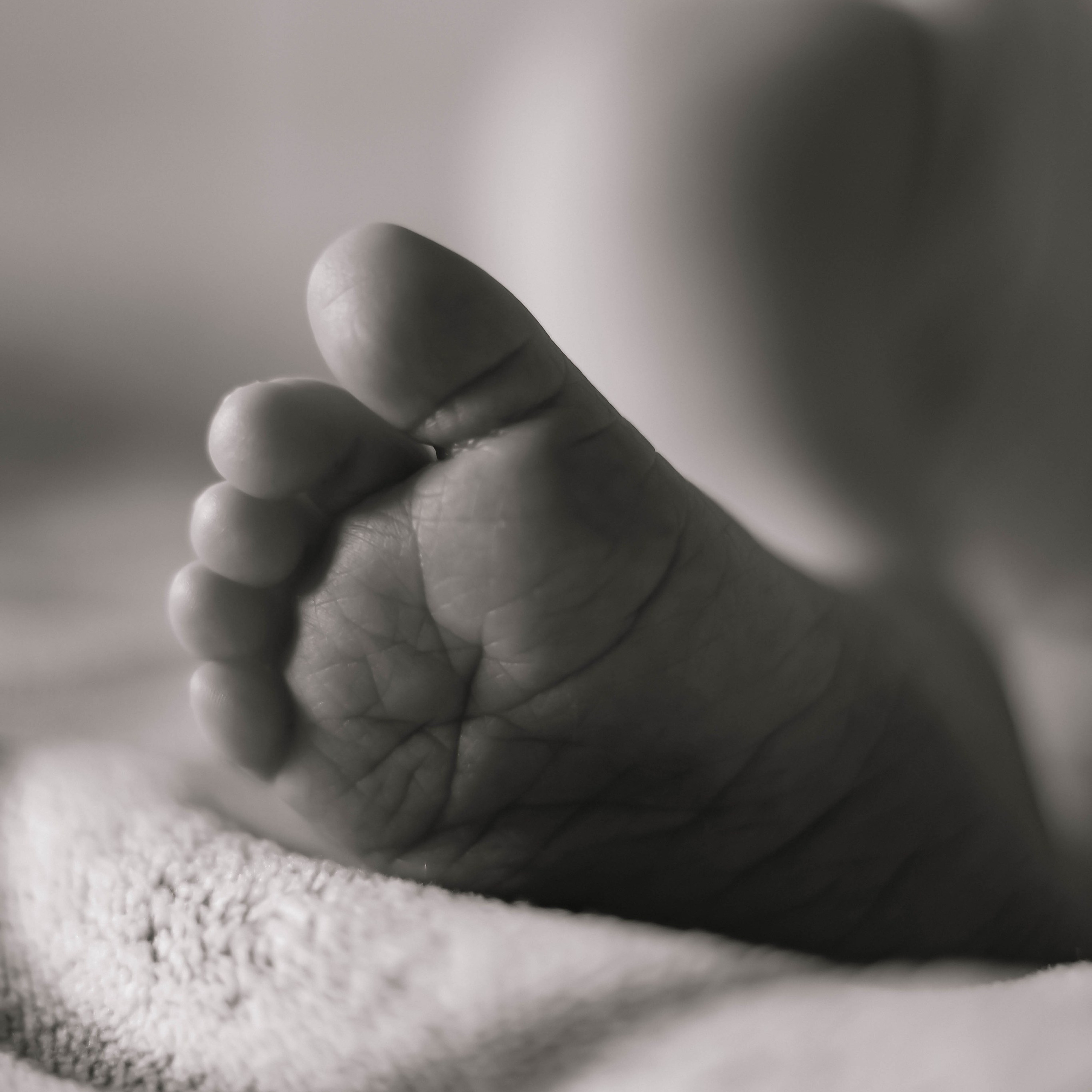 Porodične. Fotografisanje venčanja, porodičnih trenutaka i portreta