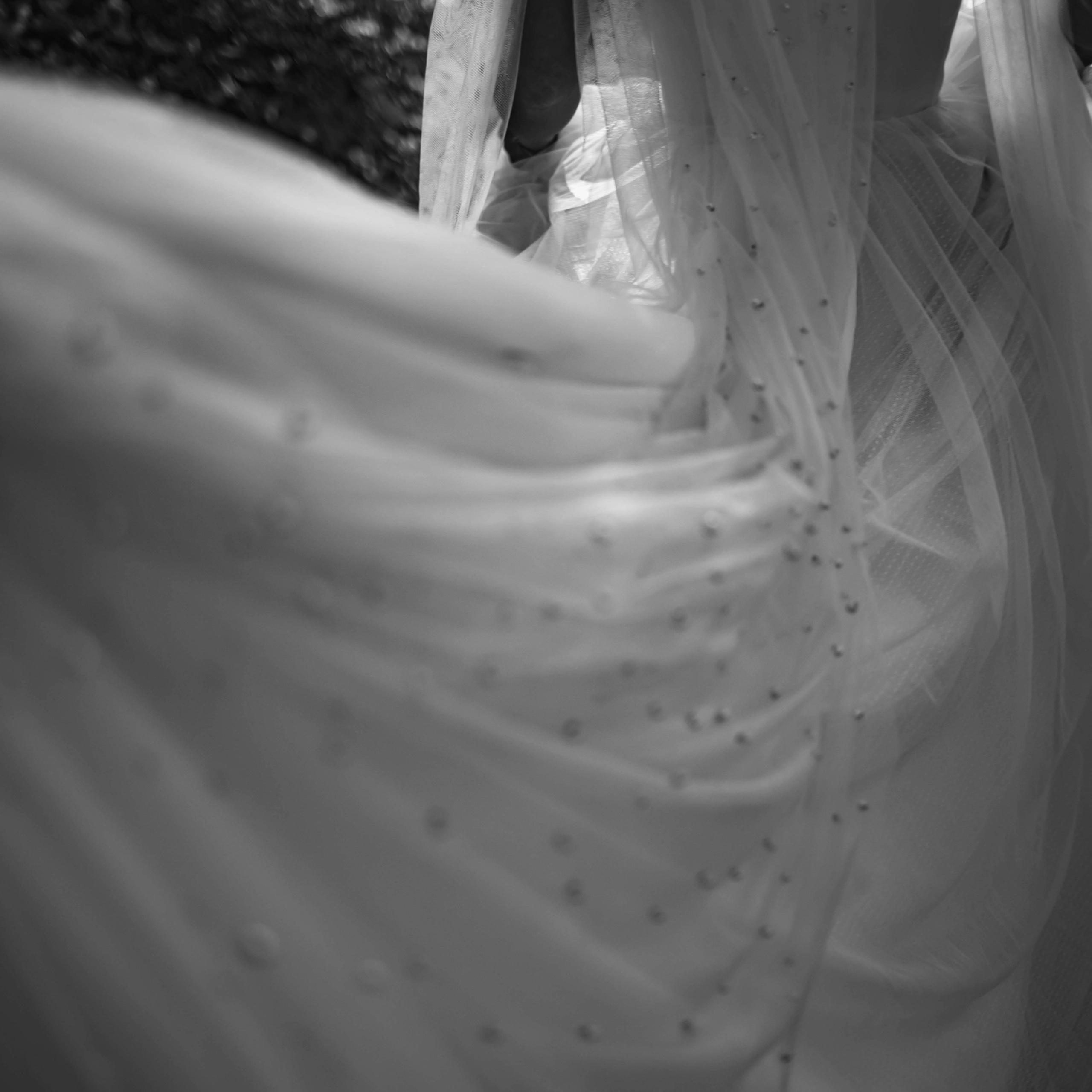 Venčanja. Fotografisanje venčanja, porodičnih trenutaka i portreta