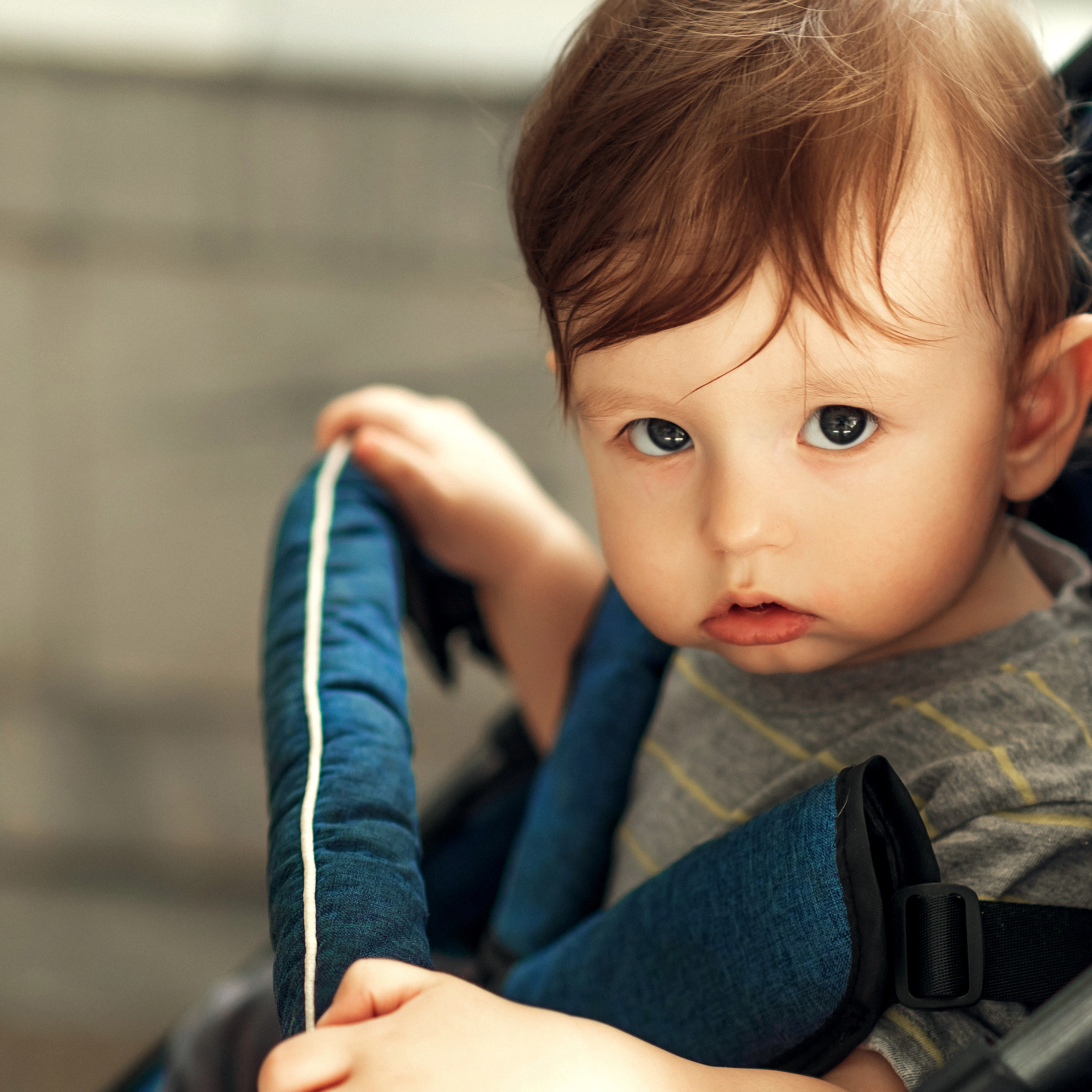 Прогулка по зоопарку