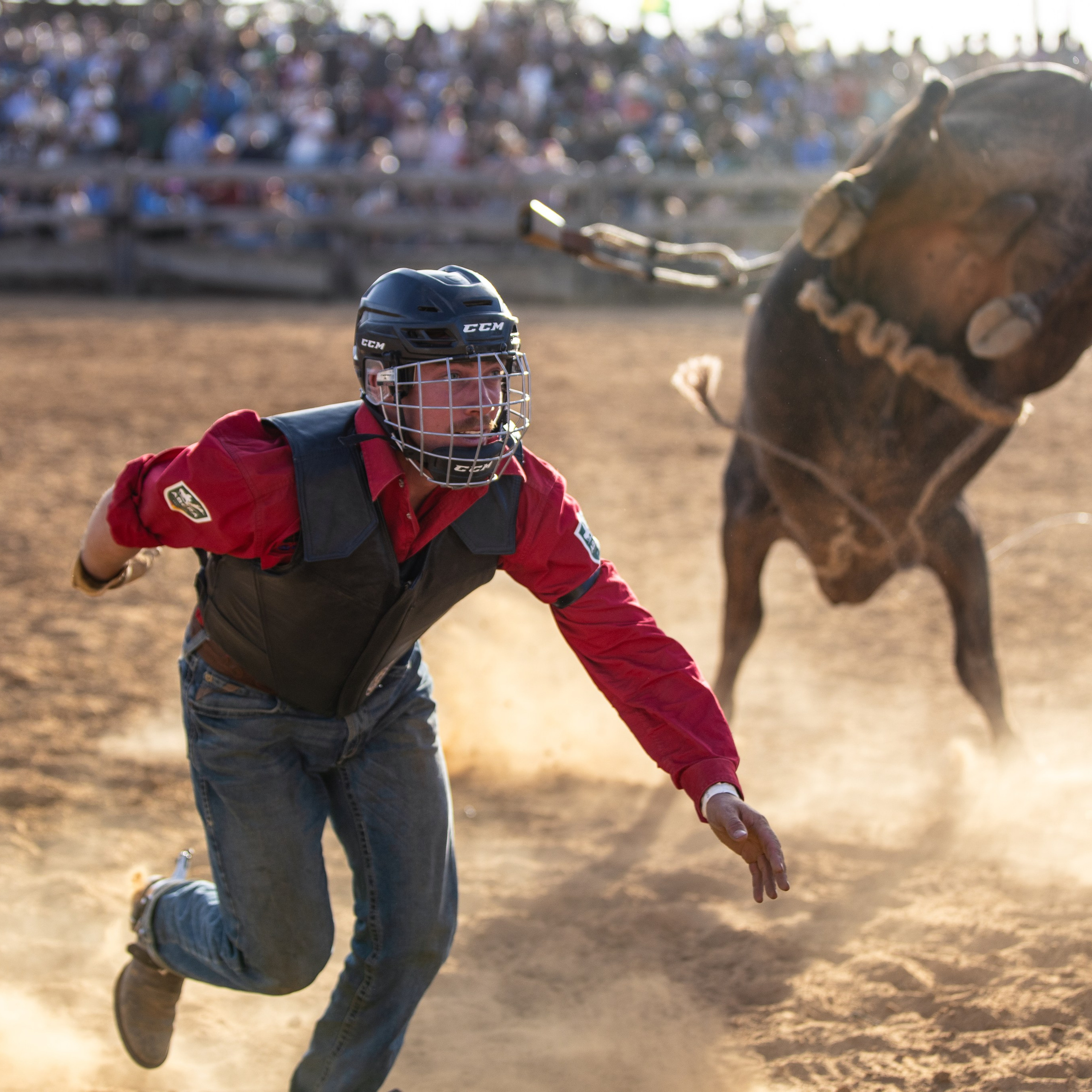 Rodeos