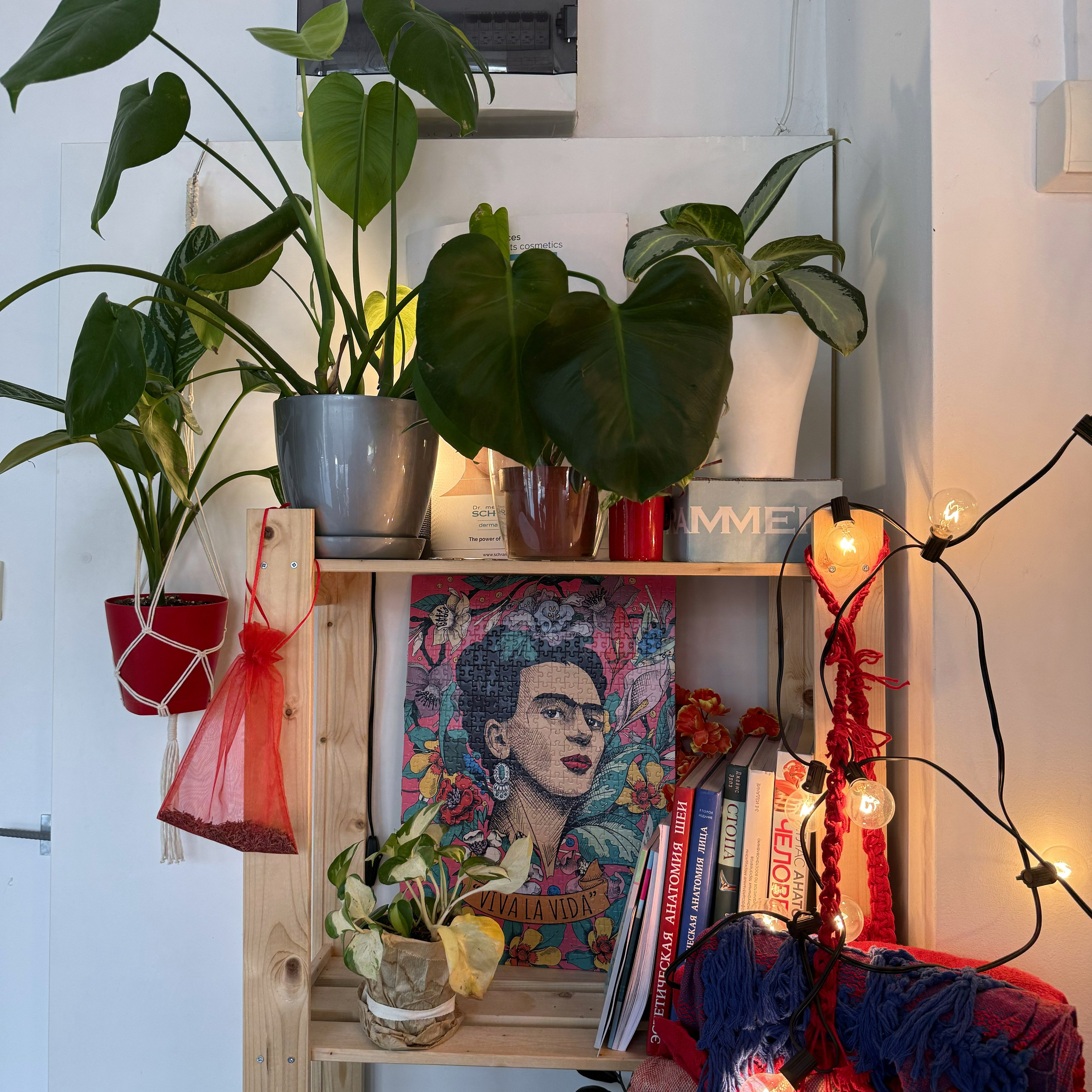 Контент-съемка для Кати Маковской. Анастасия Еремина | Фотограф в Сербии | Персональные и бизнес-фотосессии в Белграде и Нови Саде