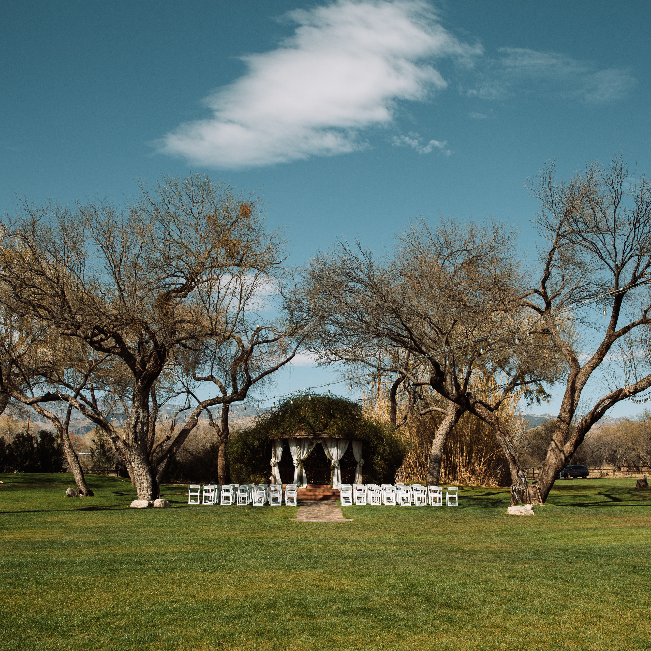 Wedding photographer Michigan. Anastasia Post: Wedding and Editorial Photography