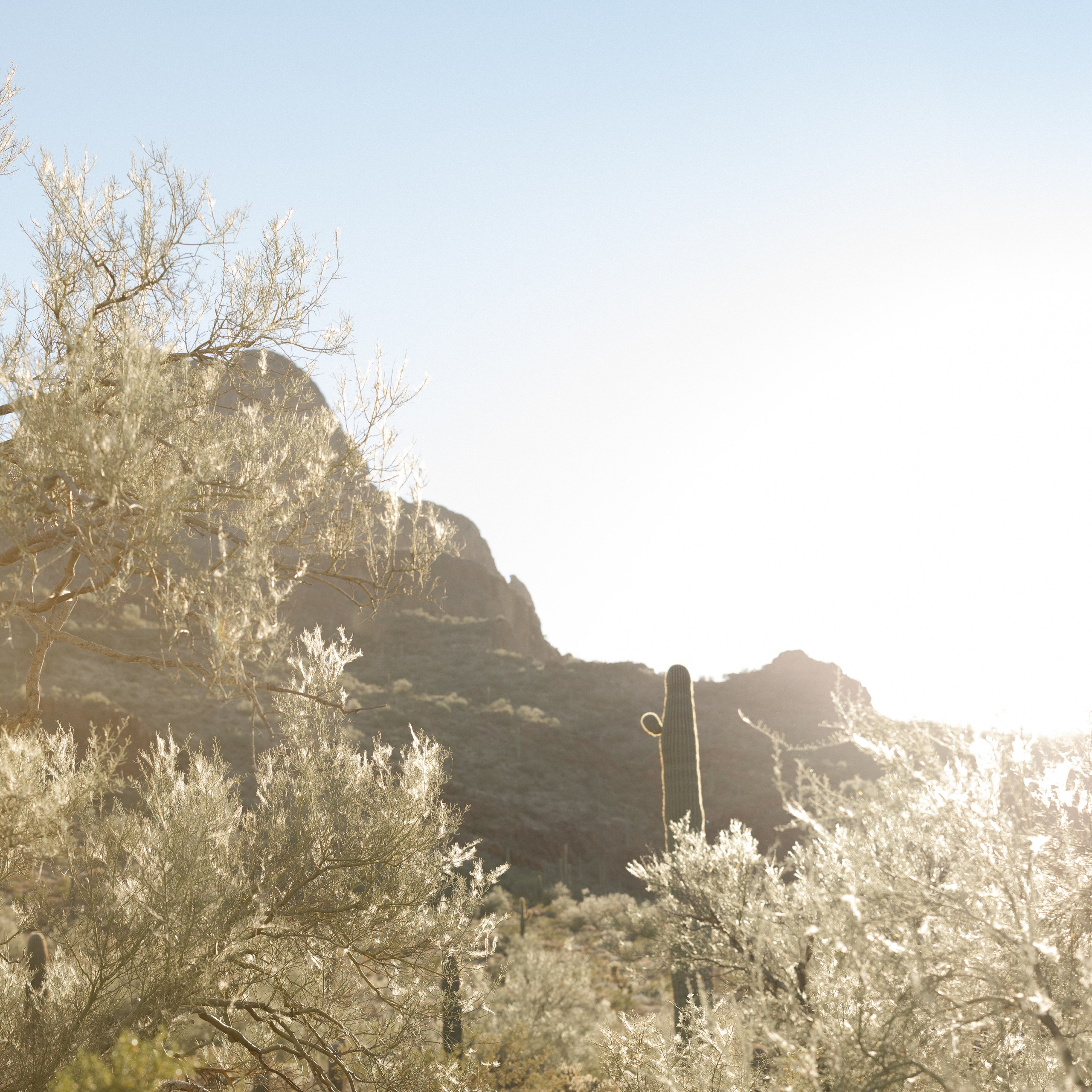 Wedding photographer Michigan. Anastasia Post: Wedding and Editorial Photography