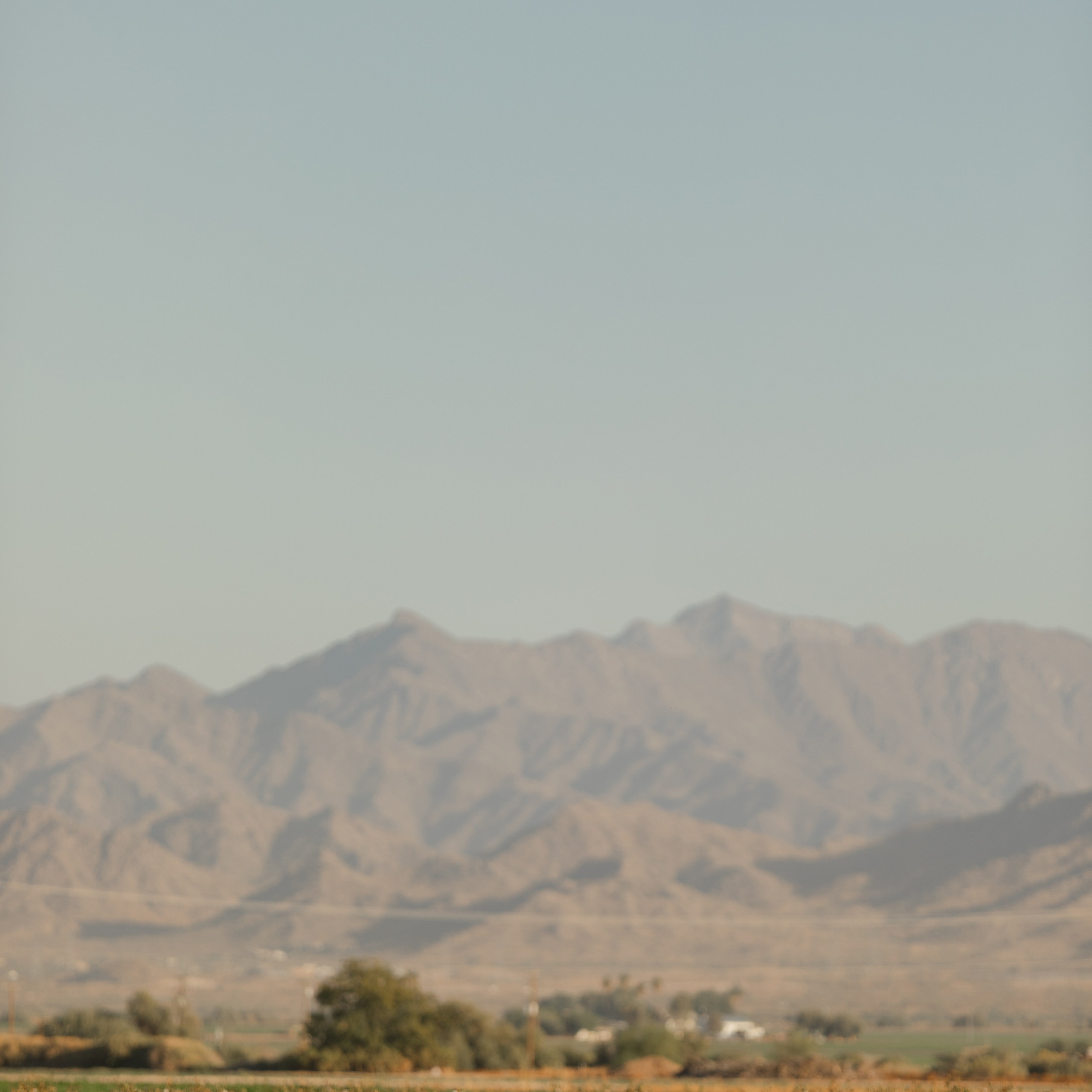 Wedding photographer Michigan. Anastasia Post: Wedding and Editorial Photography