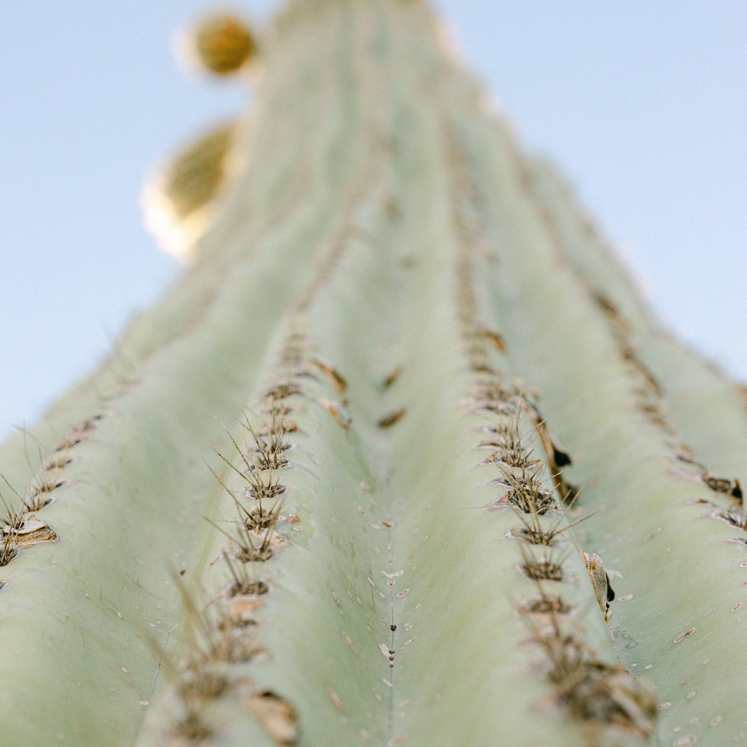 Wedding photographer Michigan. Anastasia Post: Wedding and Editorial Photography