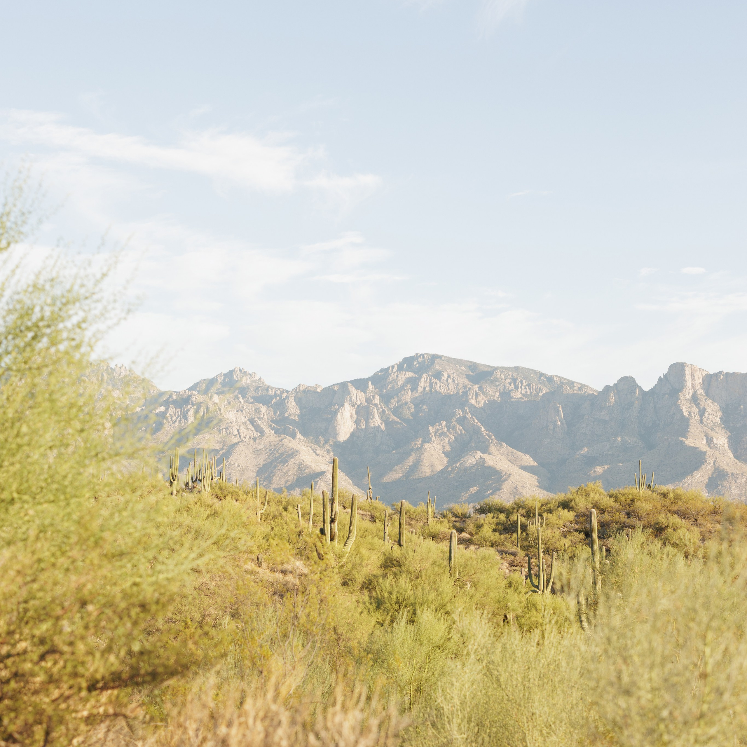 Wedding photographer Michigan. Anastasia Post: Wedding and Editorial Photography